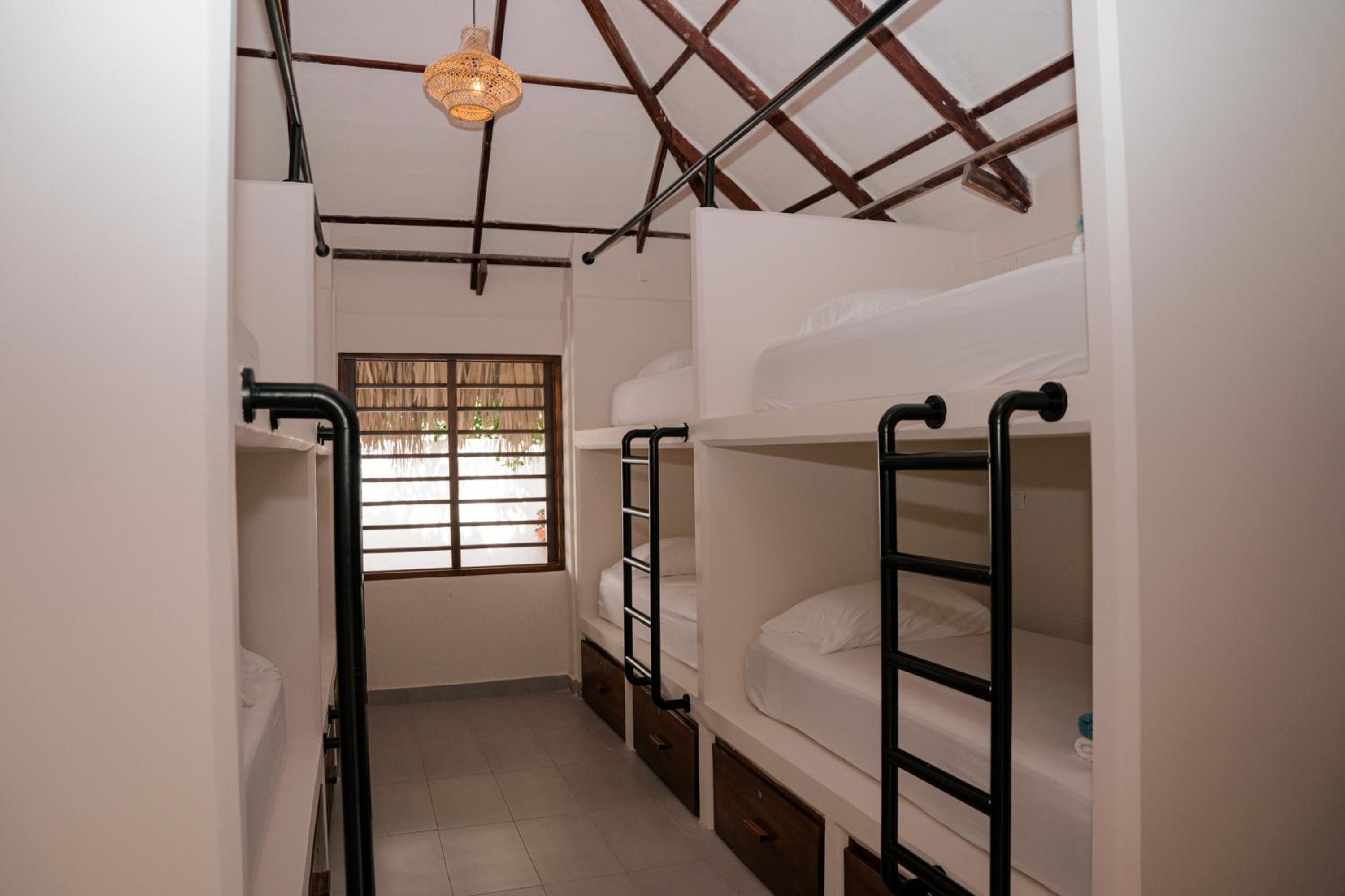 Single Bed in 6-Bed Dormitory Room photo 1