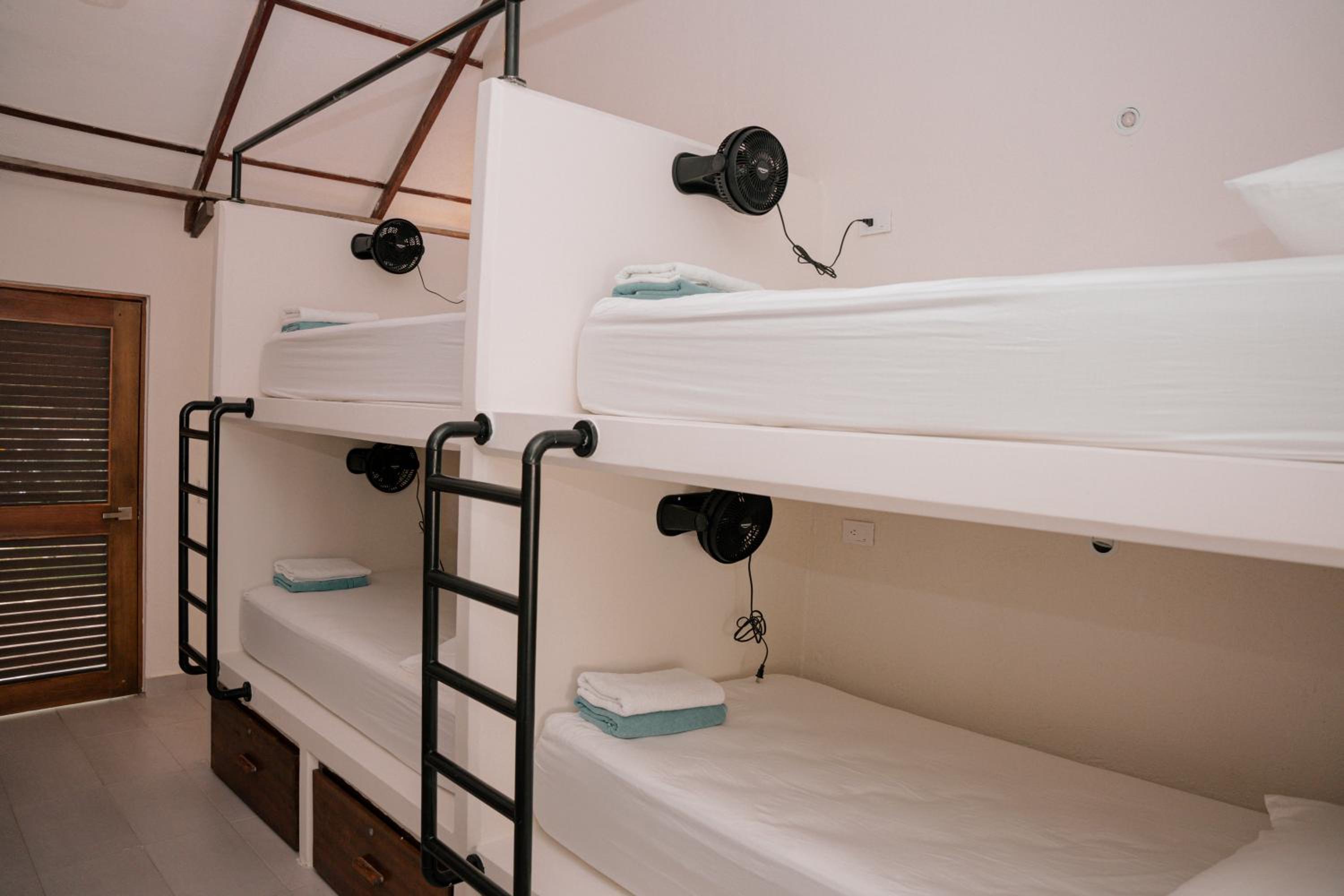 Single Bed in Female Dormitory Room photo 1