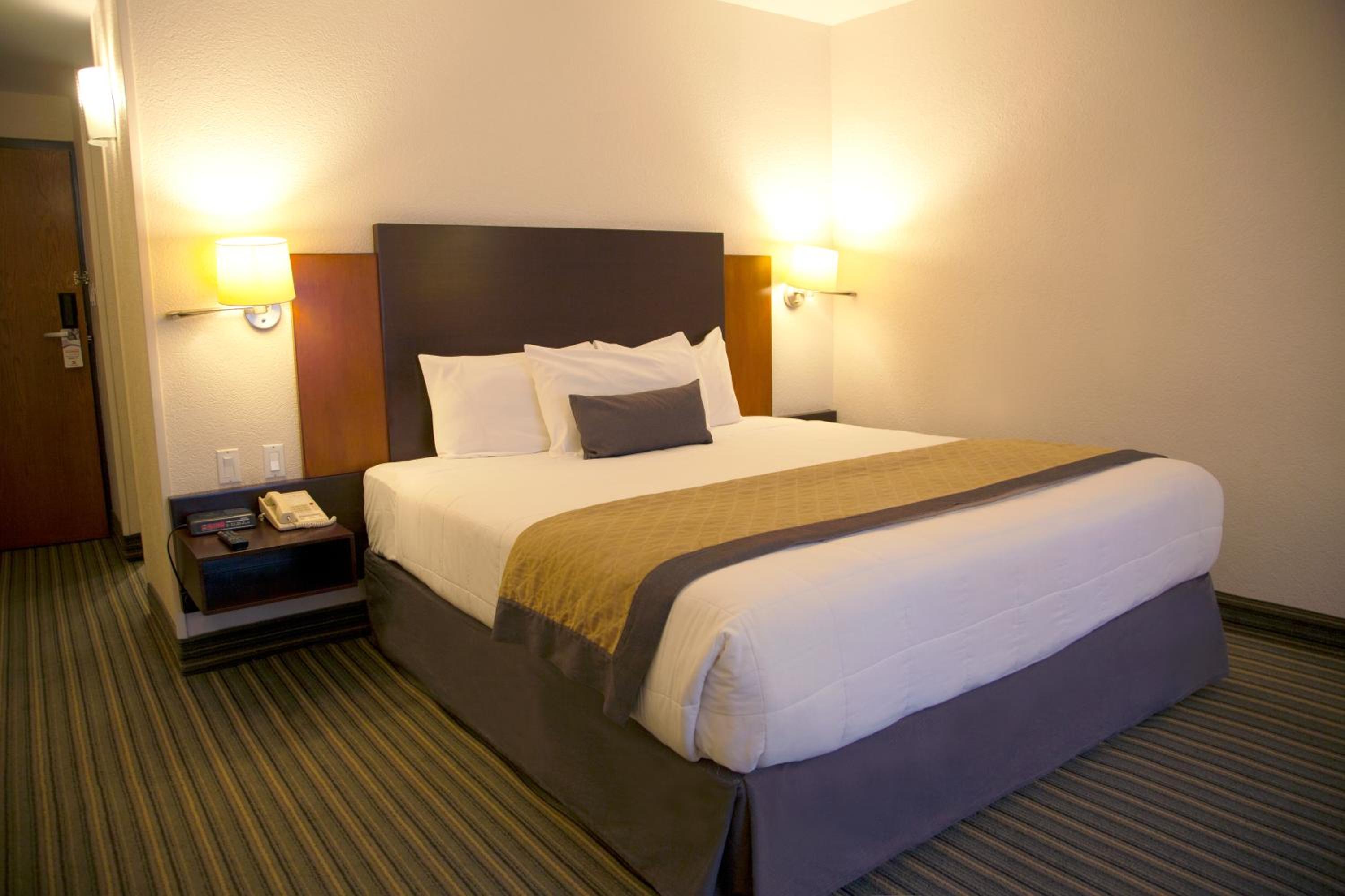 King Room photo 3
