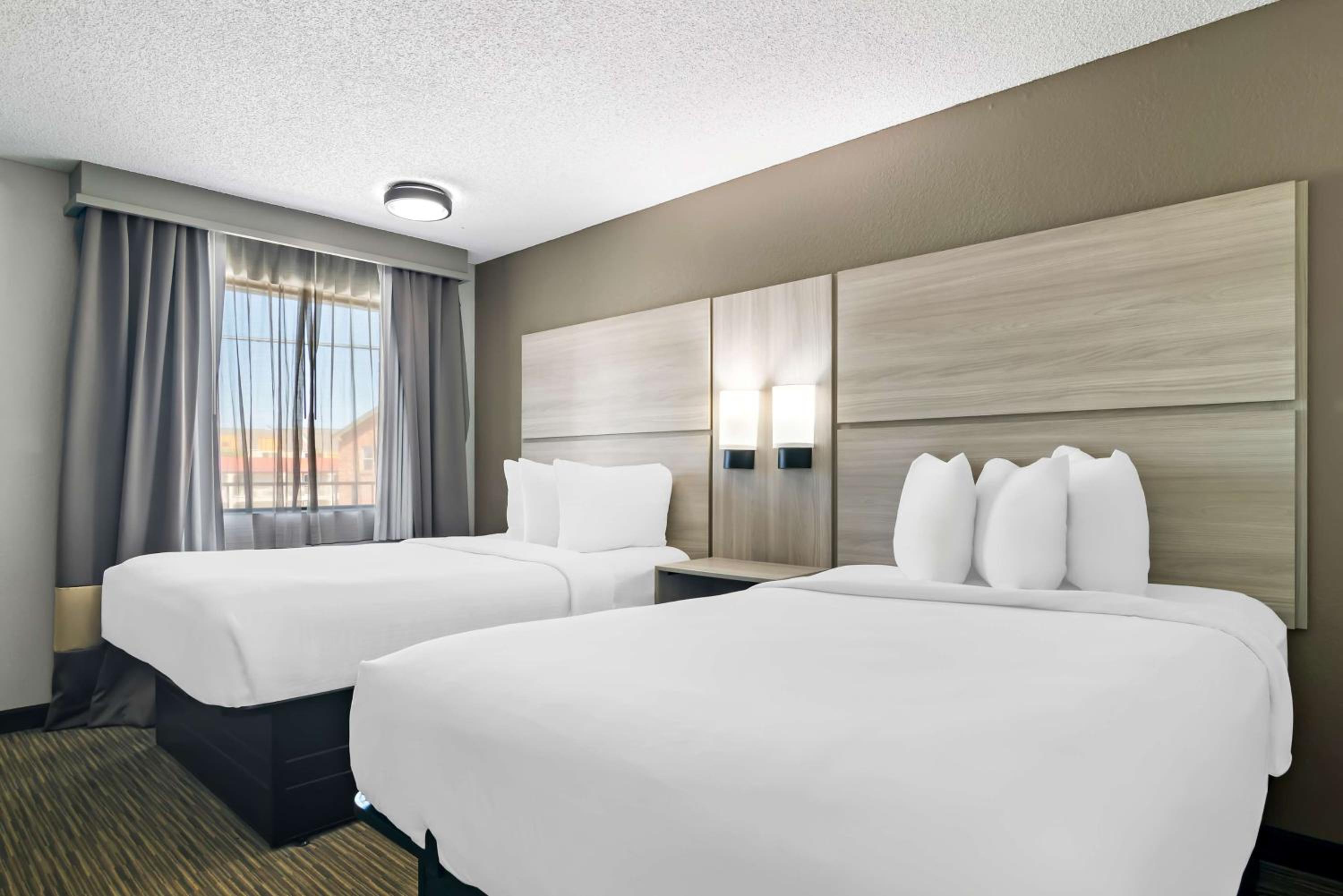 Suite with Two Double Beds and Sofa Bed photo 2