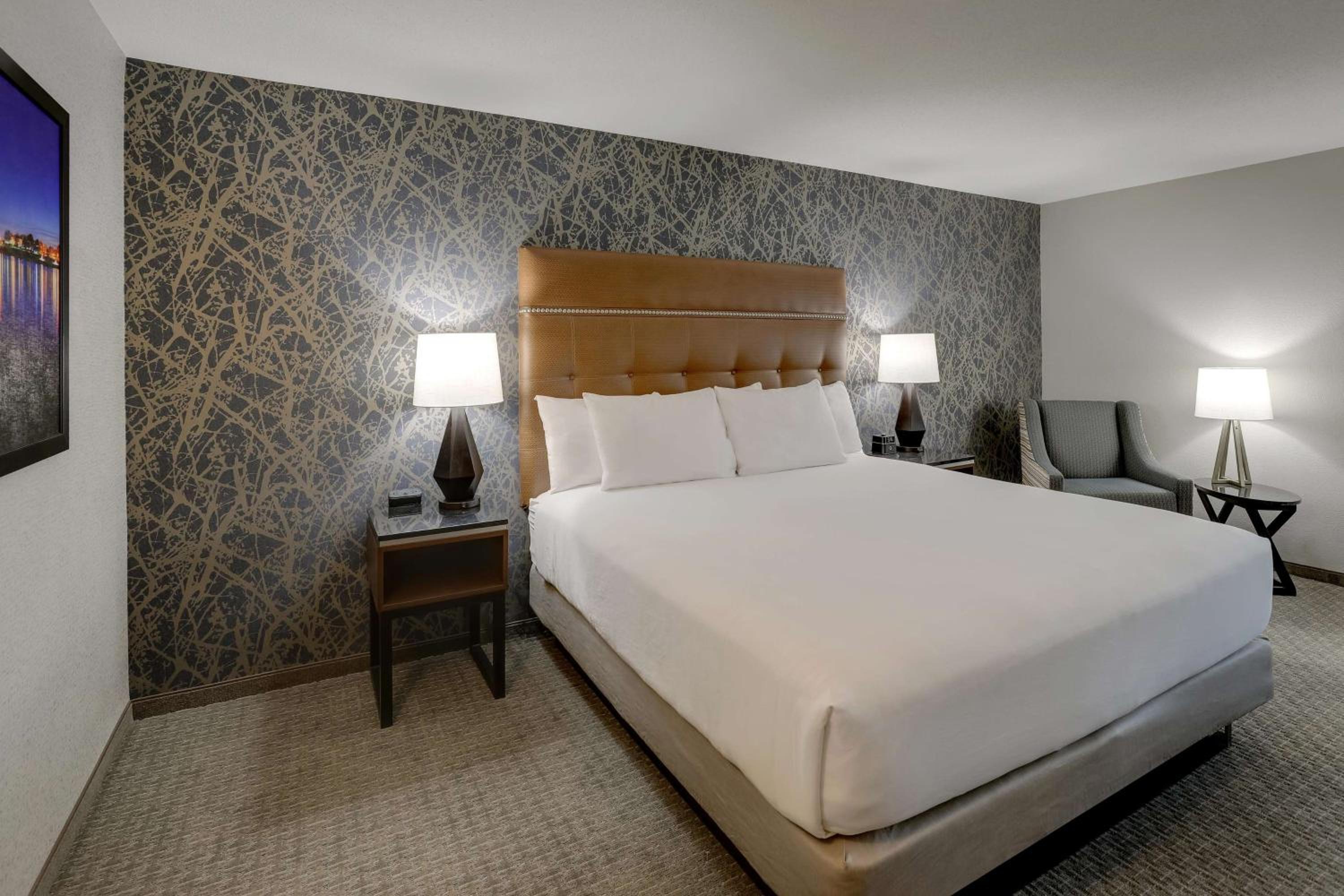 Deluxe King Room - Accessible, Roll-in Shower - Photo 5