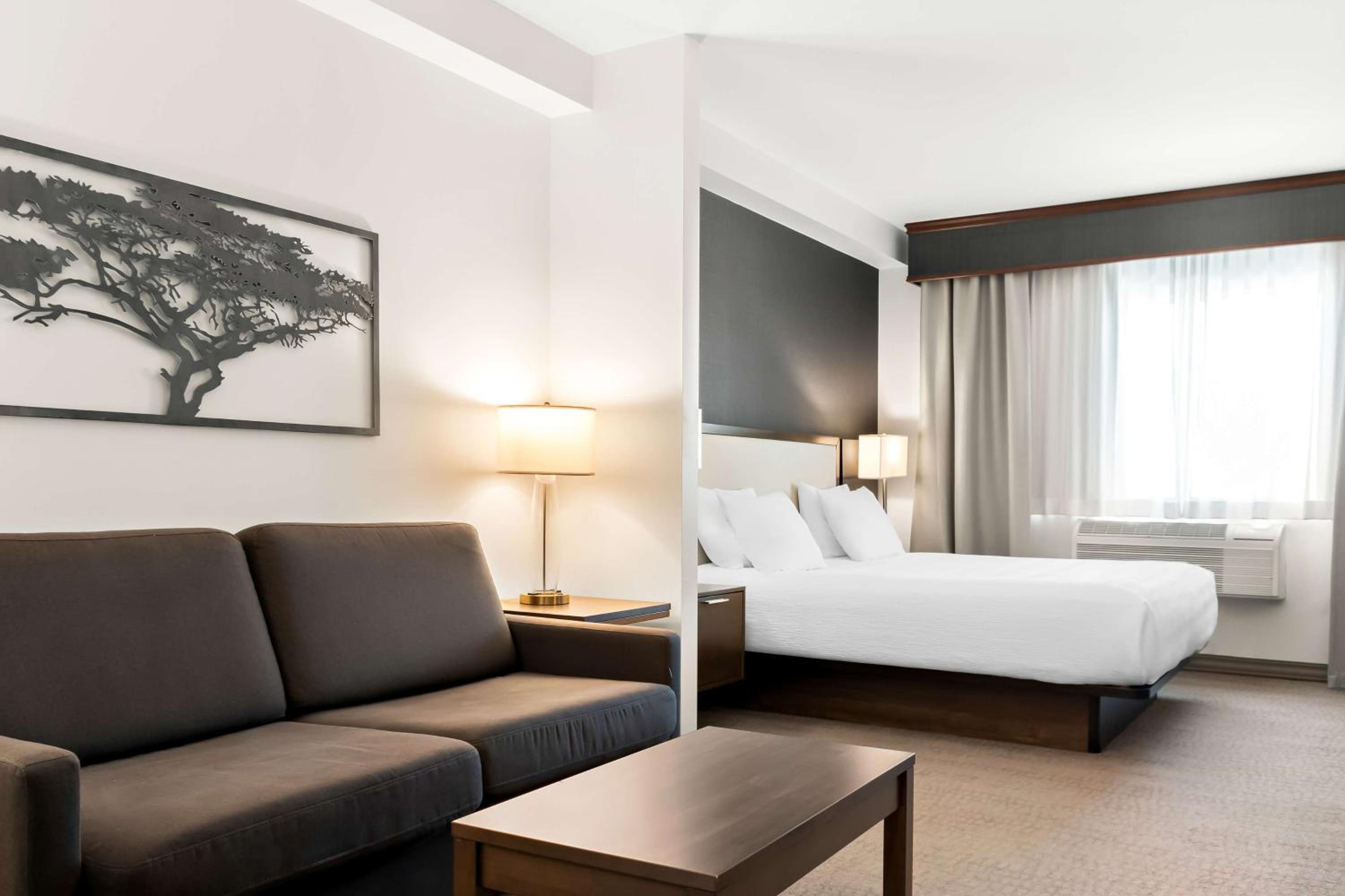King Suite - Photo 1