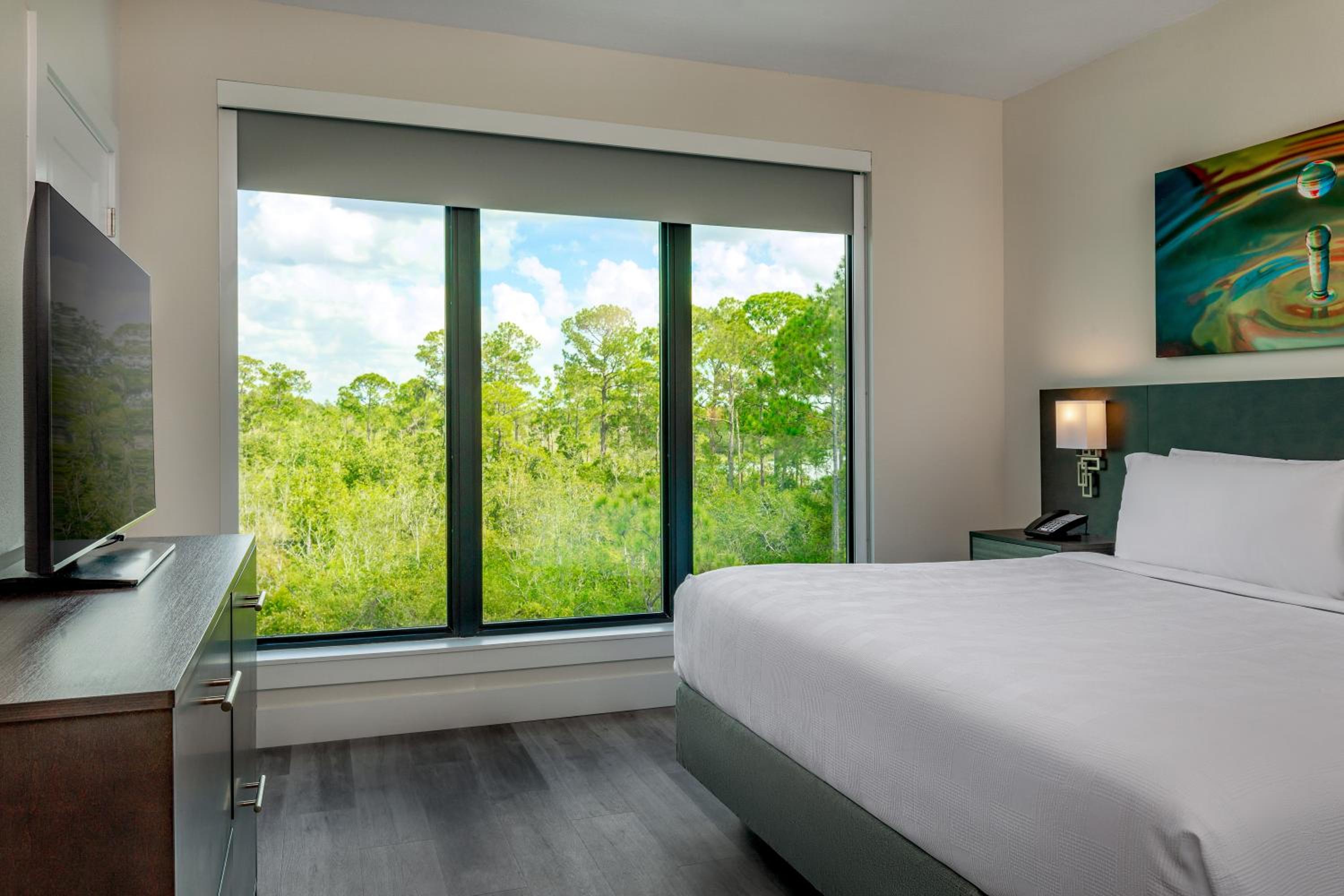 Superior One Bedroom Suite  (Free Water Park Access) photo 1