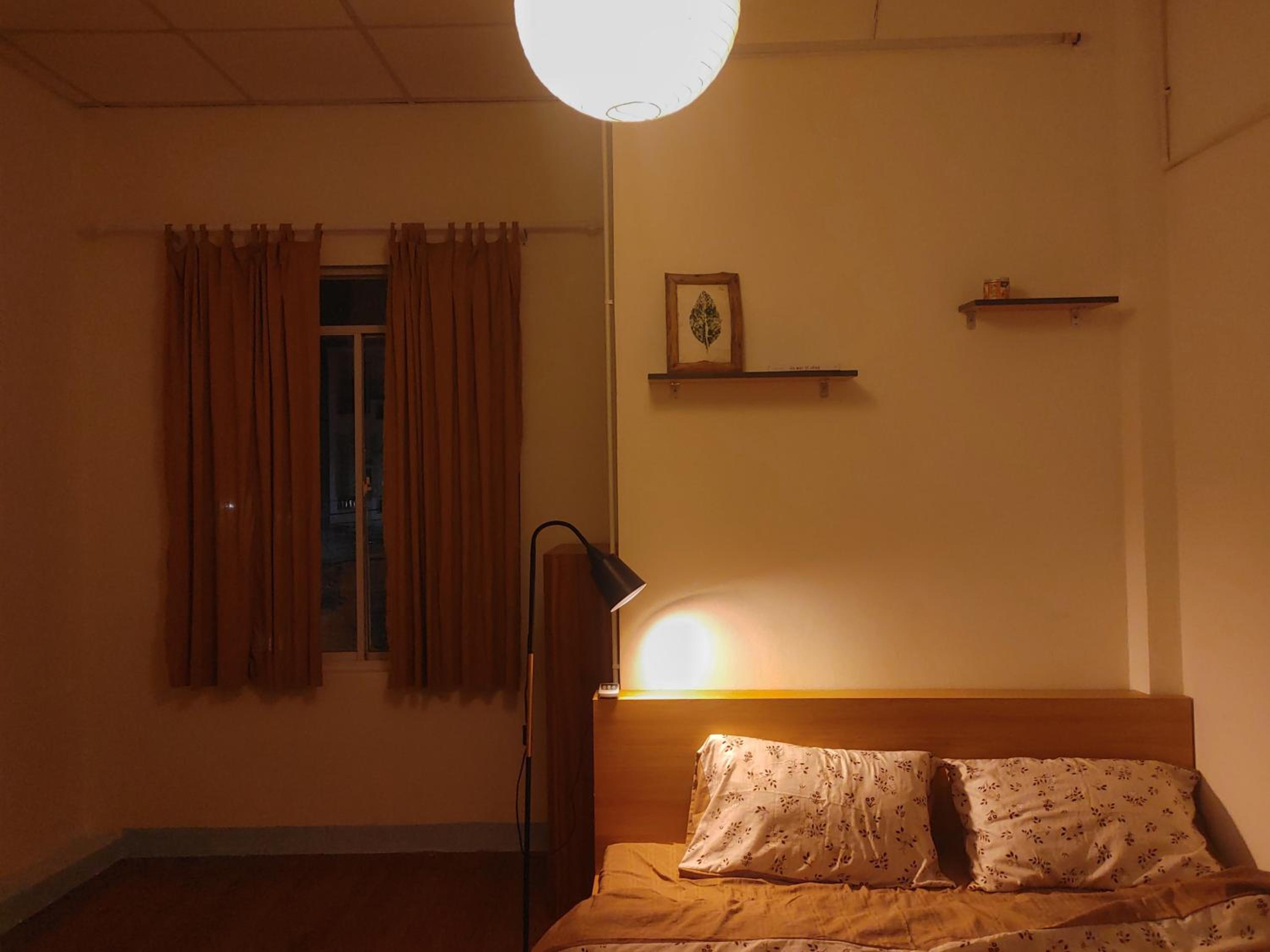 King Room photo 2