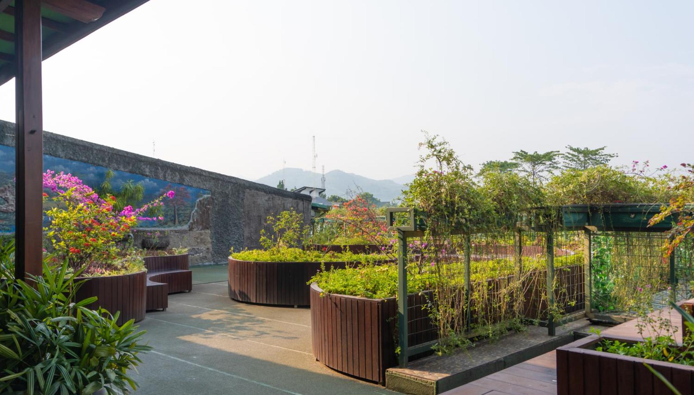 Executive King With Terrace - Photo 6