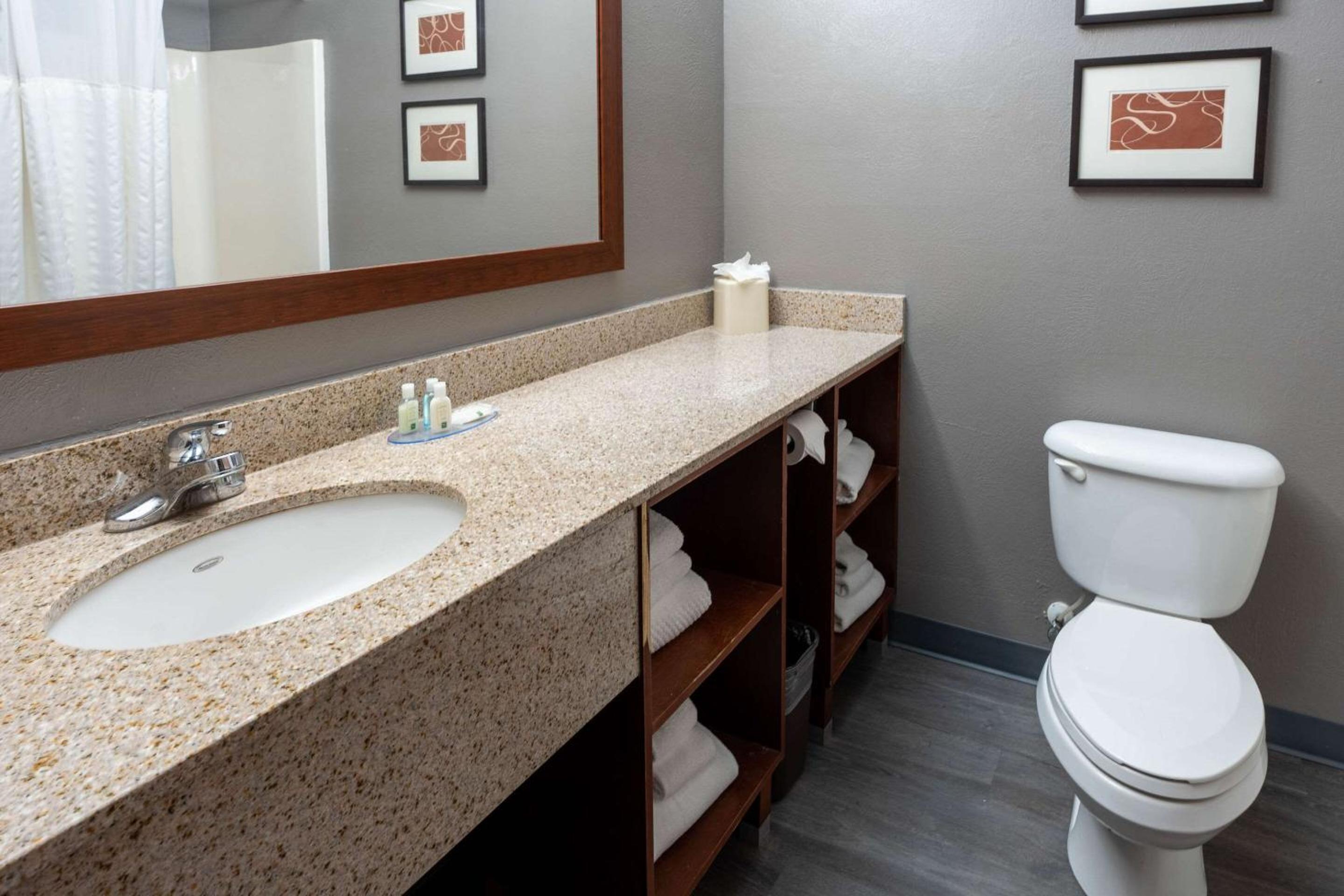 King Suite photo 3