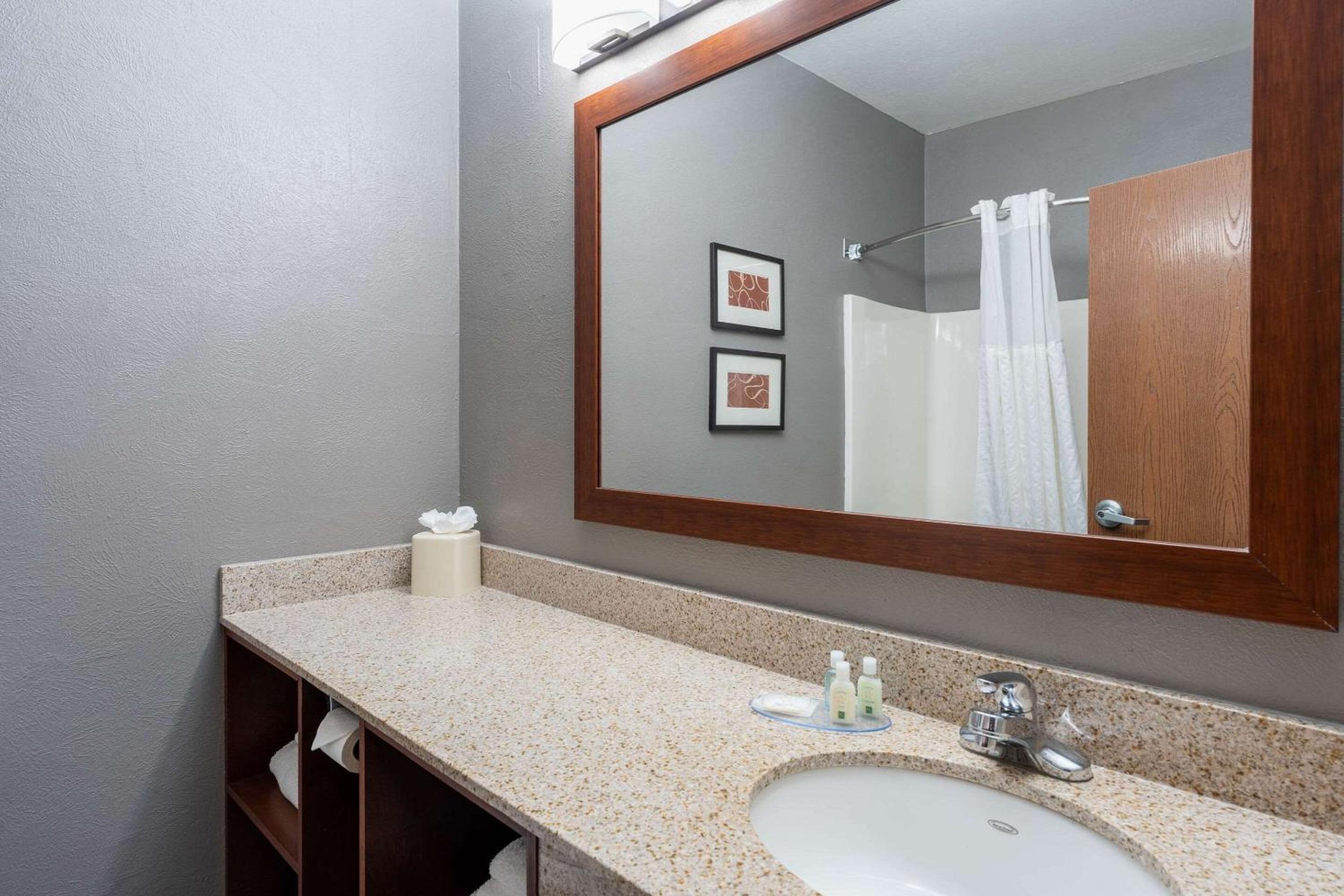 King Suite photo 2