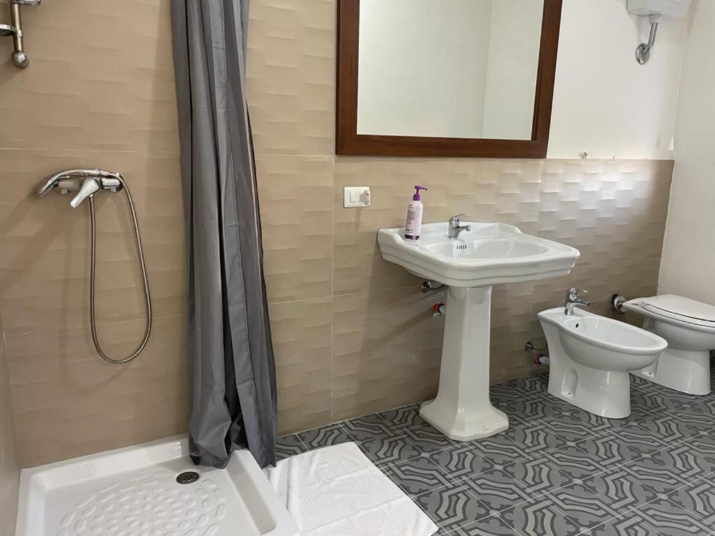 Double or Twin Room photo 3