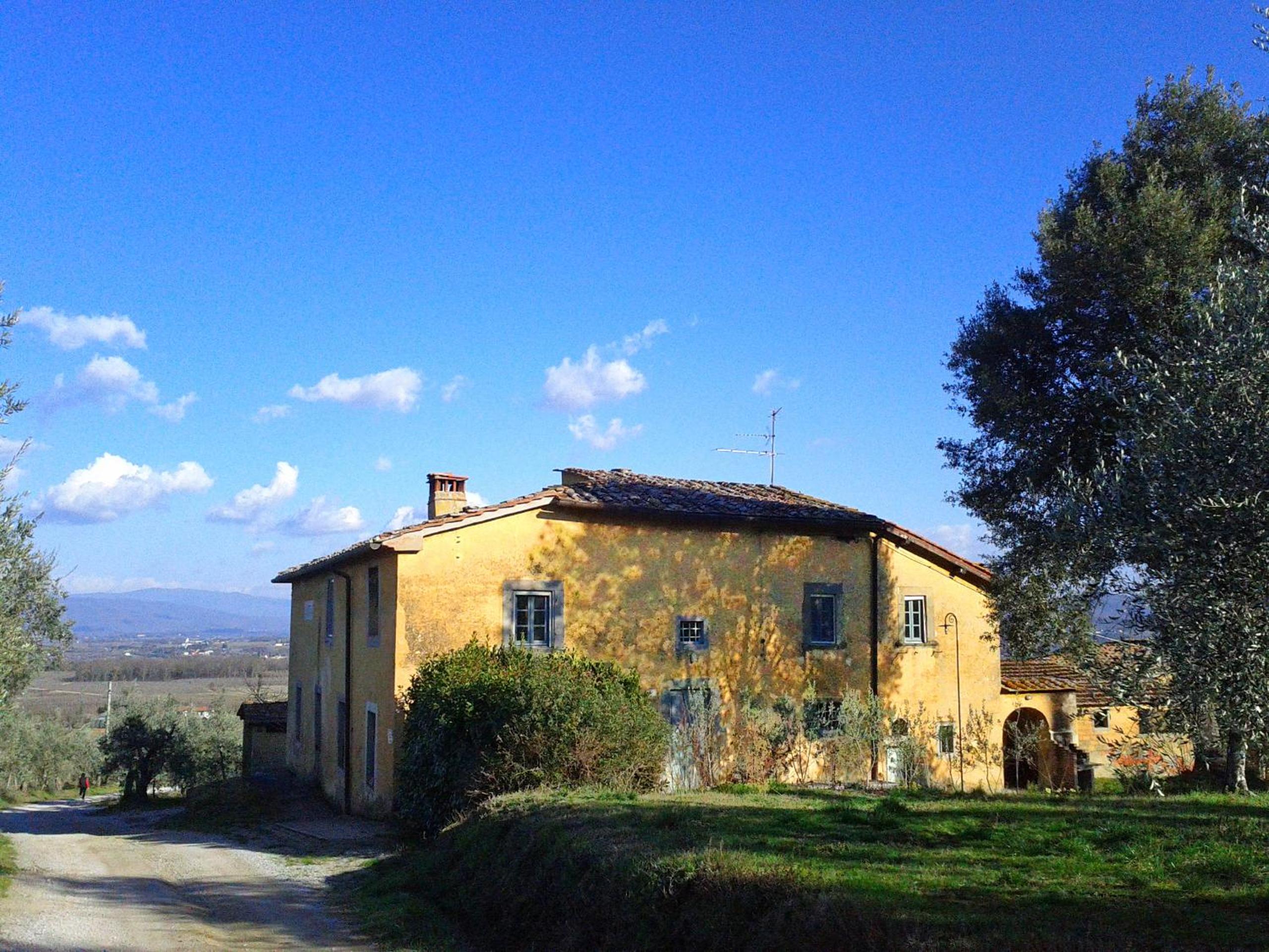 Standard Villa photo 2