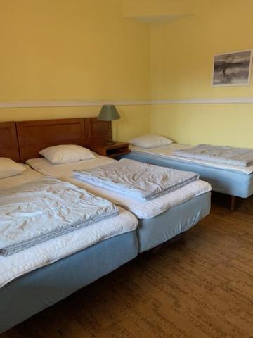 Basic Triple Room with Shared Bathroom photo 3