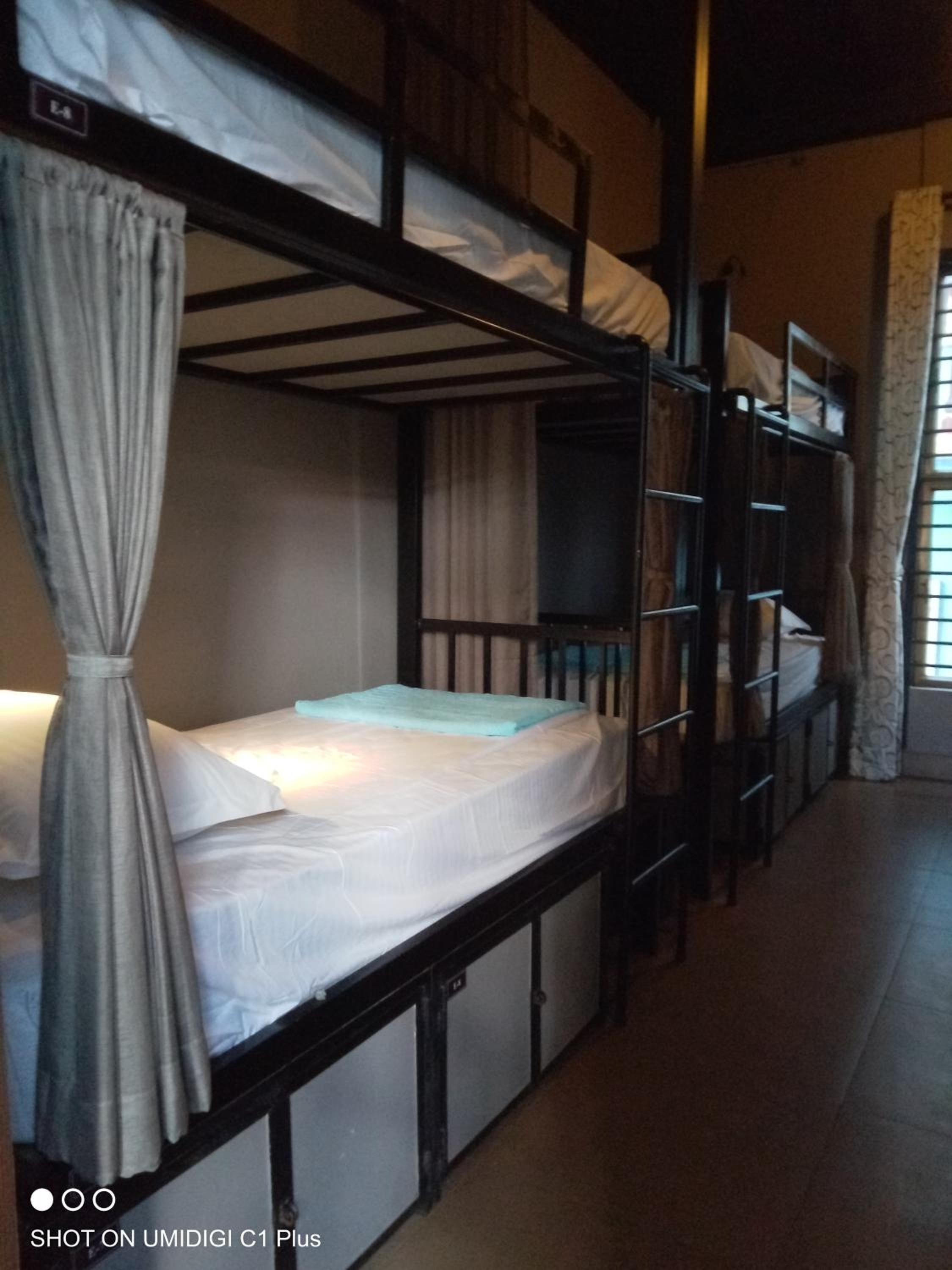 Bunk Bed in Female Dormitory Room   photo 1