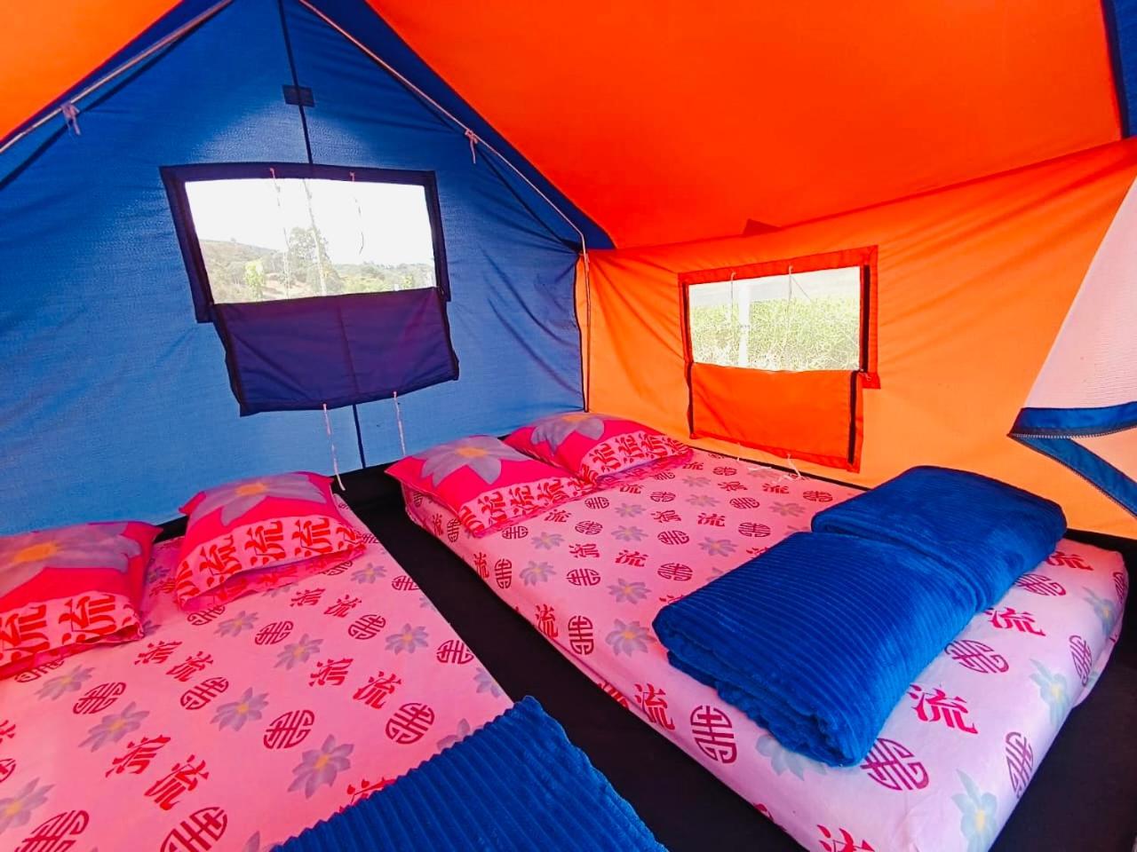 Tent photo 1