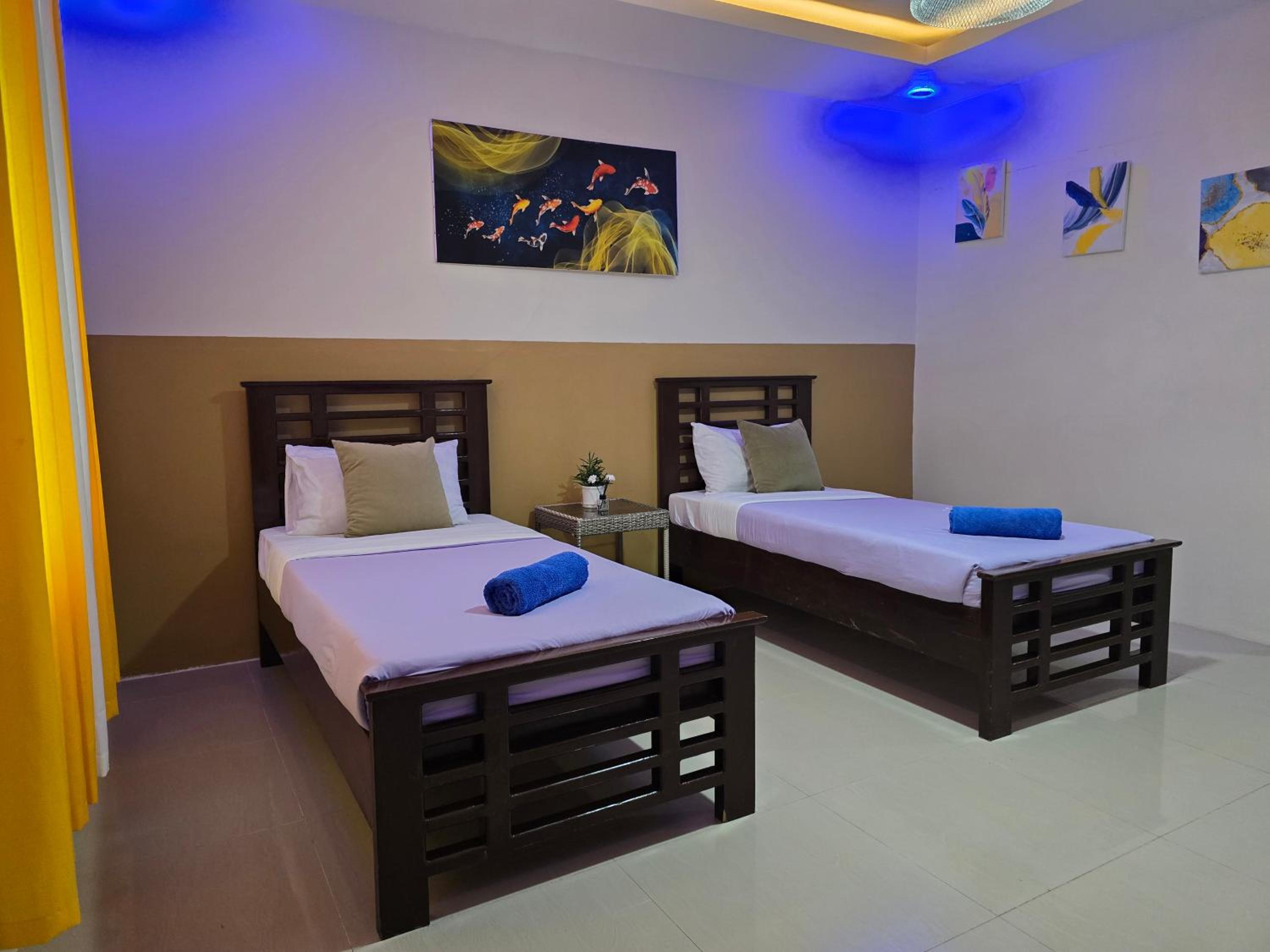 Twin Room photo 2