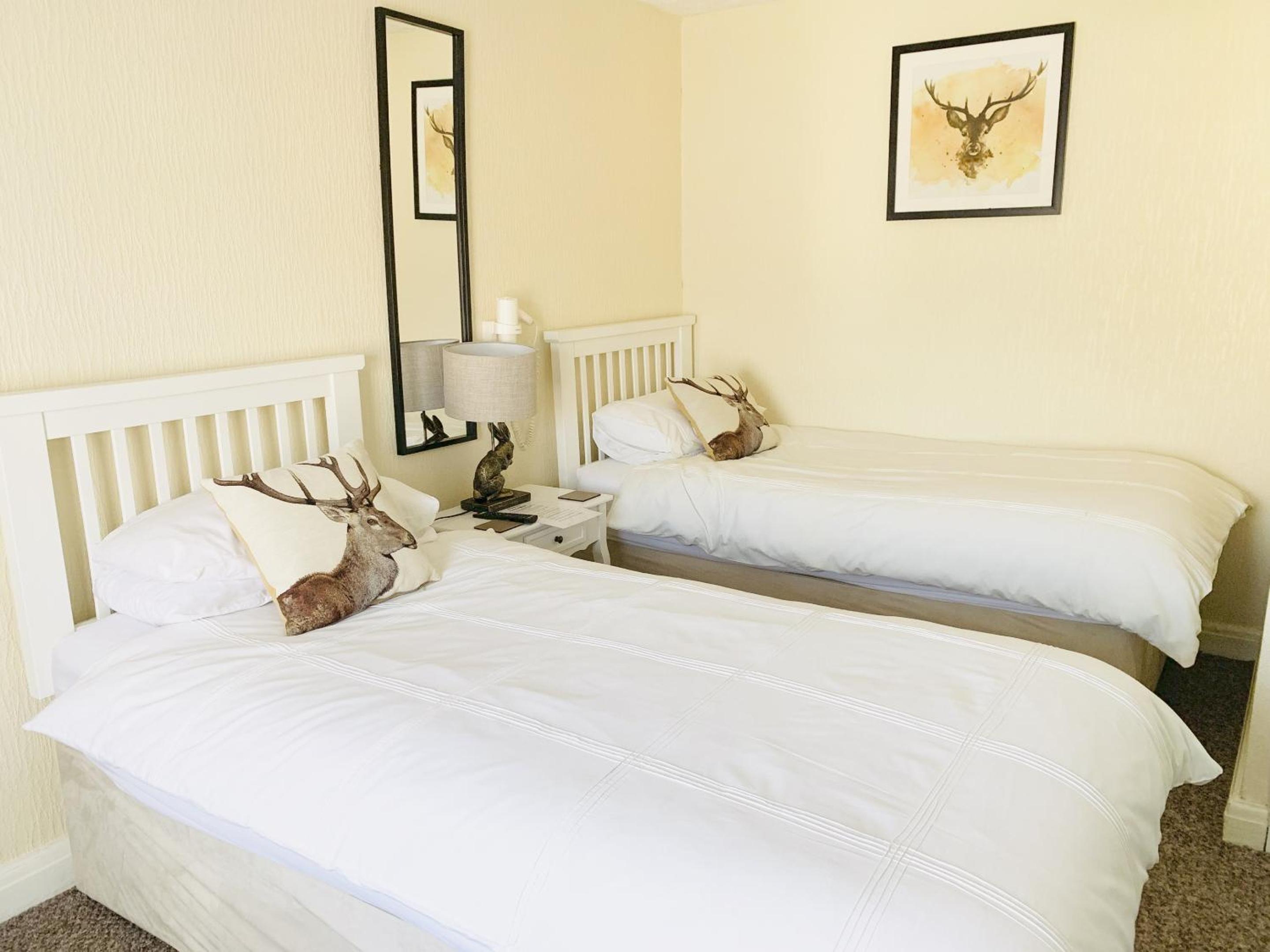 Twin Room - Photo 2
