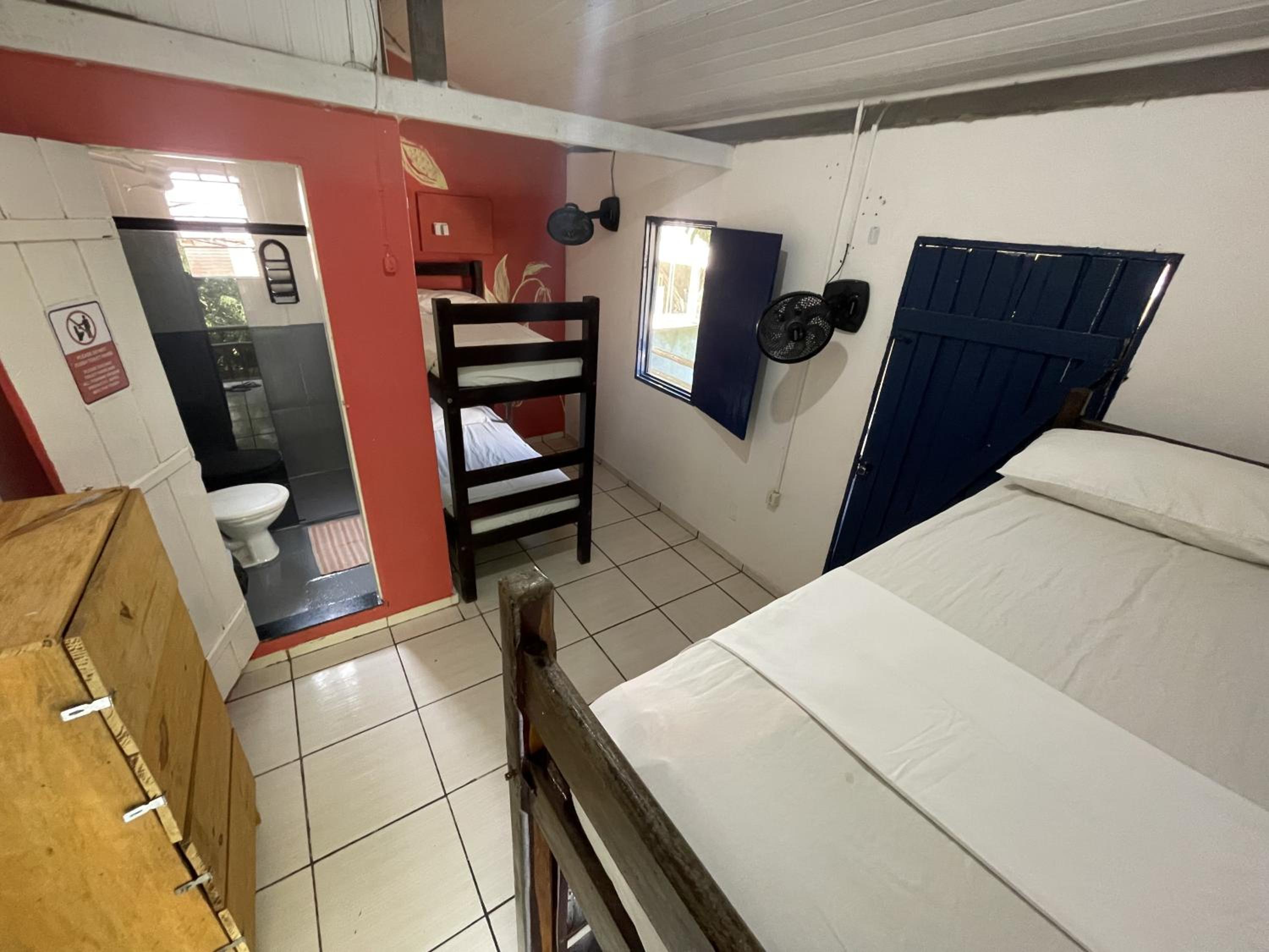 Bed in 4-Bed Female Dormitory Room photo 2