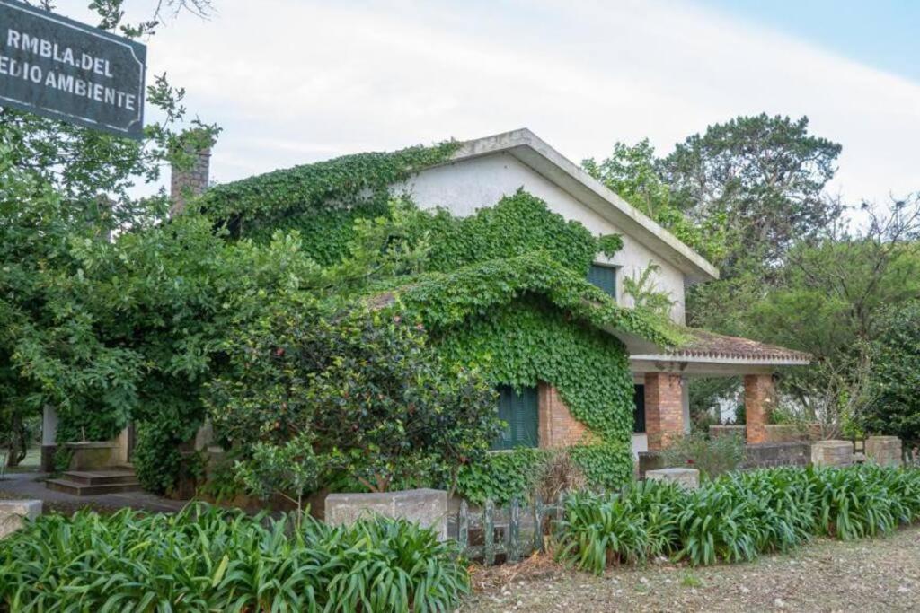 Six-Bedroom House photo 1