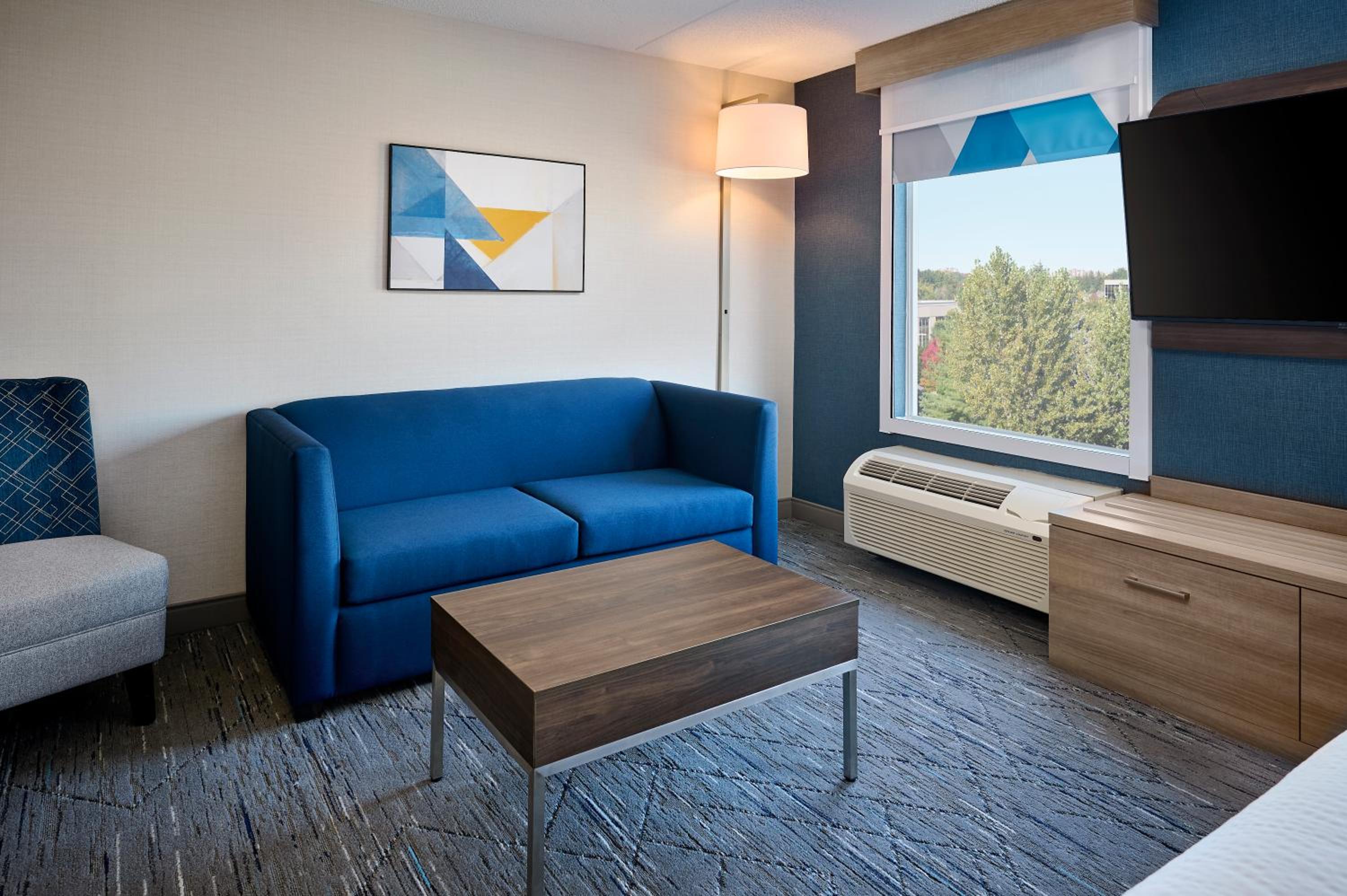 King Suite with Living Area and Sofa Bed - Photo 6