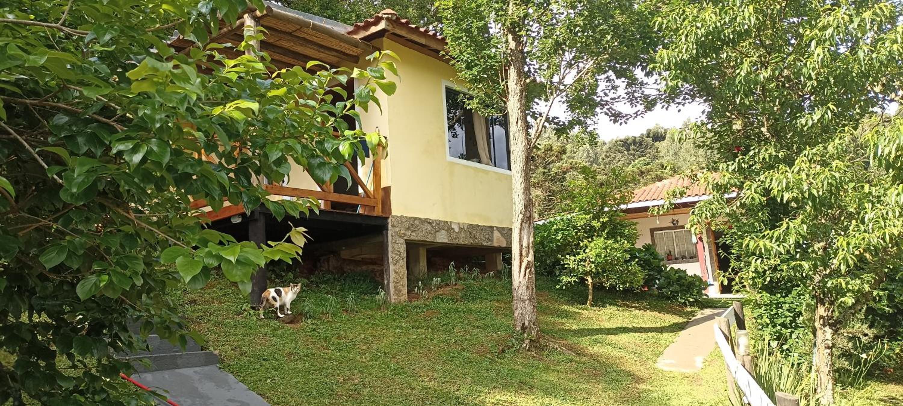 One-Bedroom Chalet photo 3