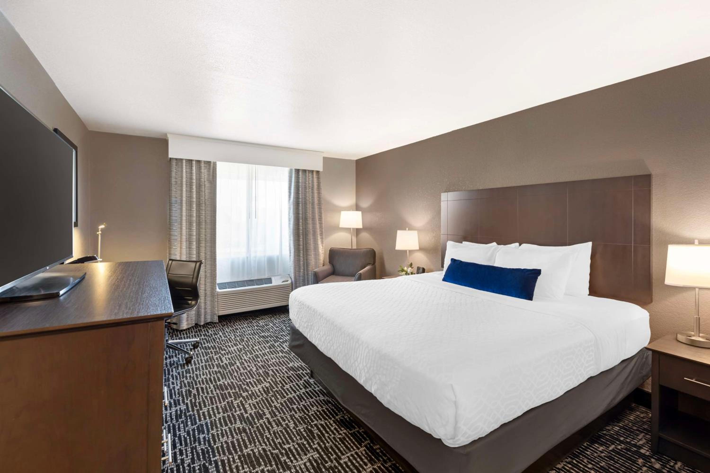 King Room
