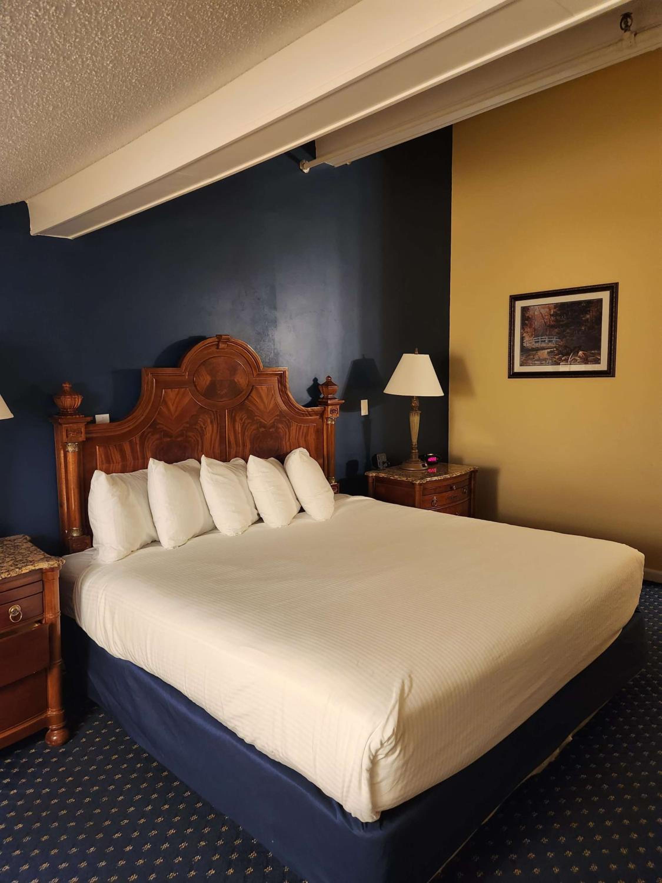 King Room - Pet Friendly/Non-Smoking - Photo 1