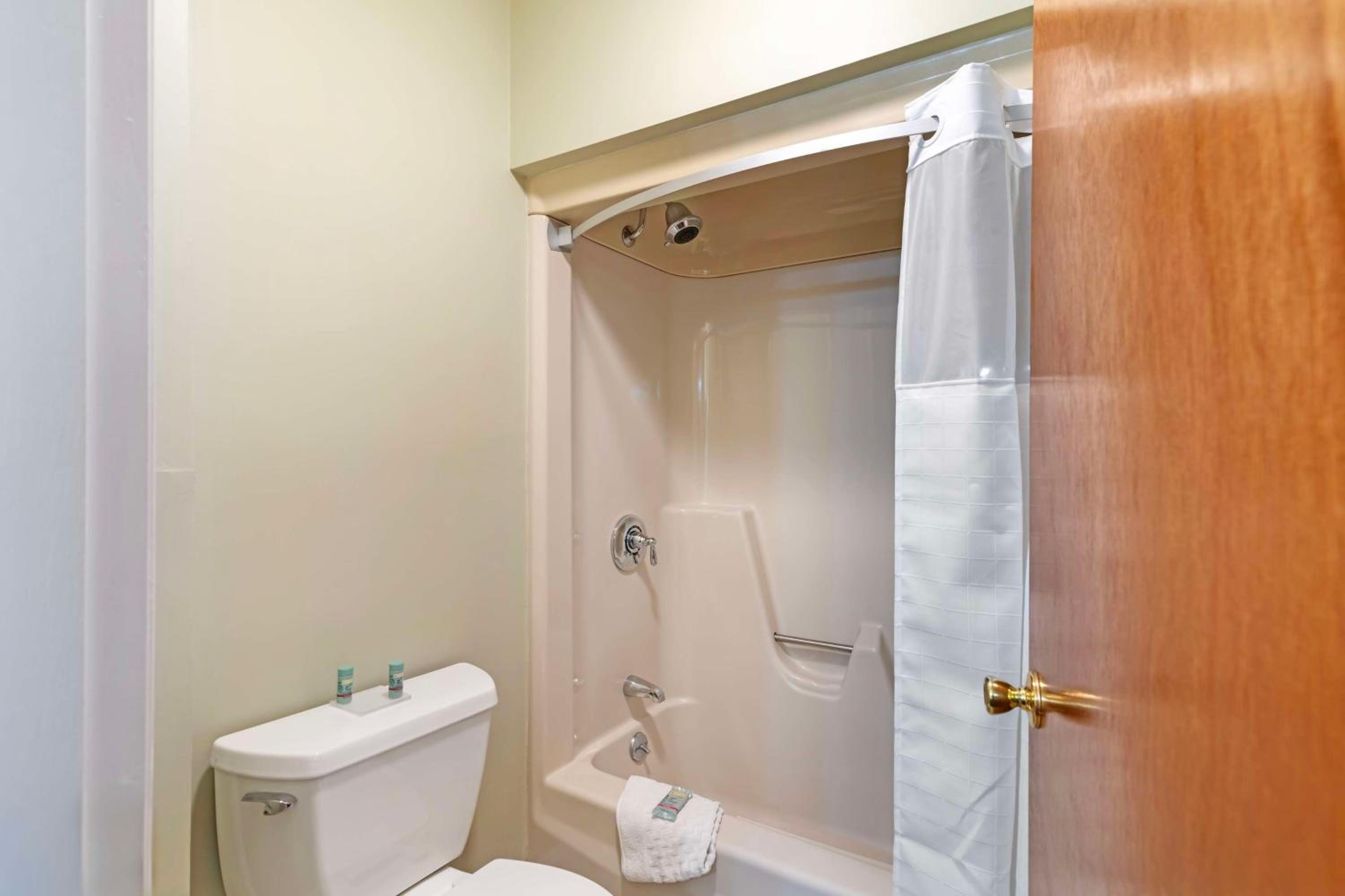 King Room - Pet Friendly/Non-Smoking - Photo 5