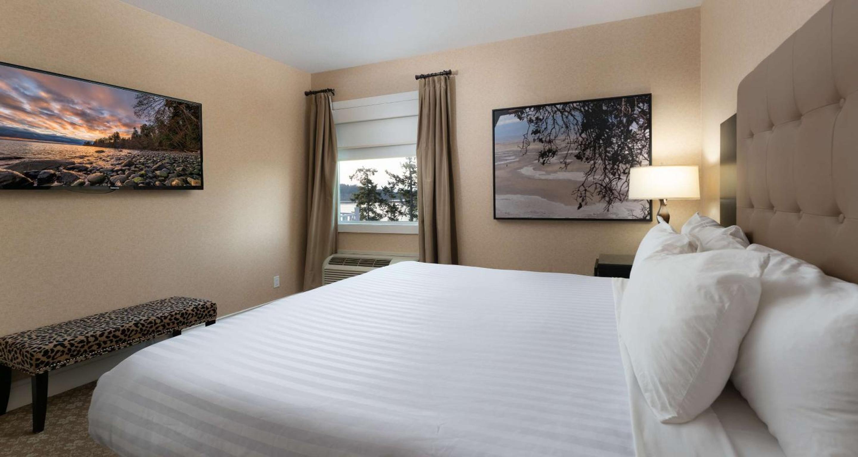 One-Bedroom King Suite with Sofa Bed and Spa Bath - Photo 1