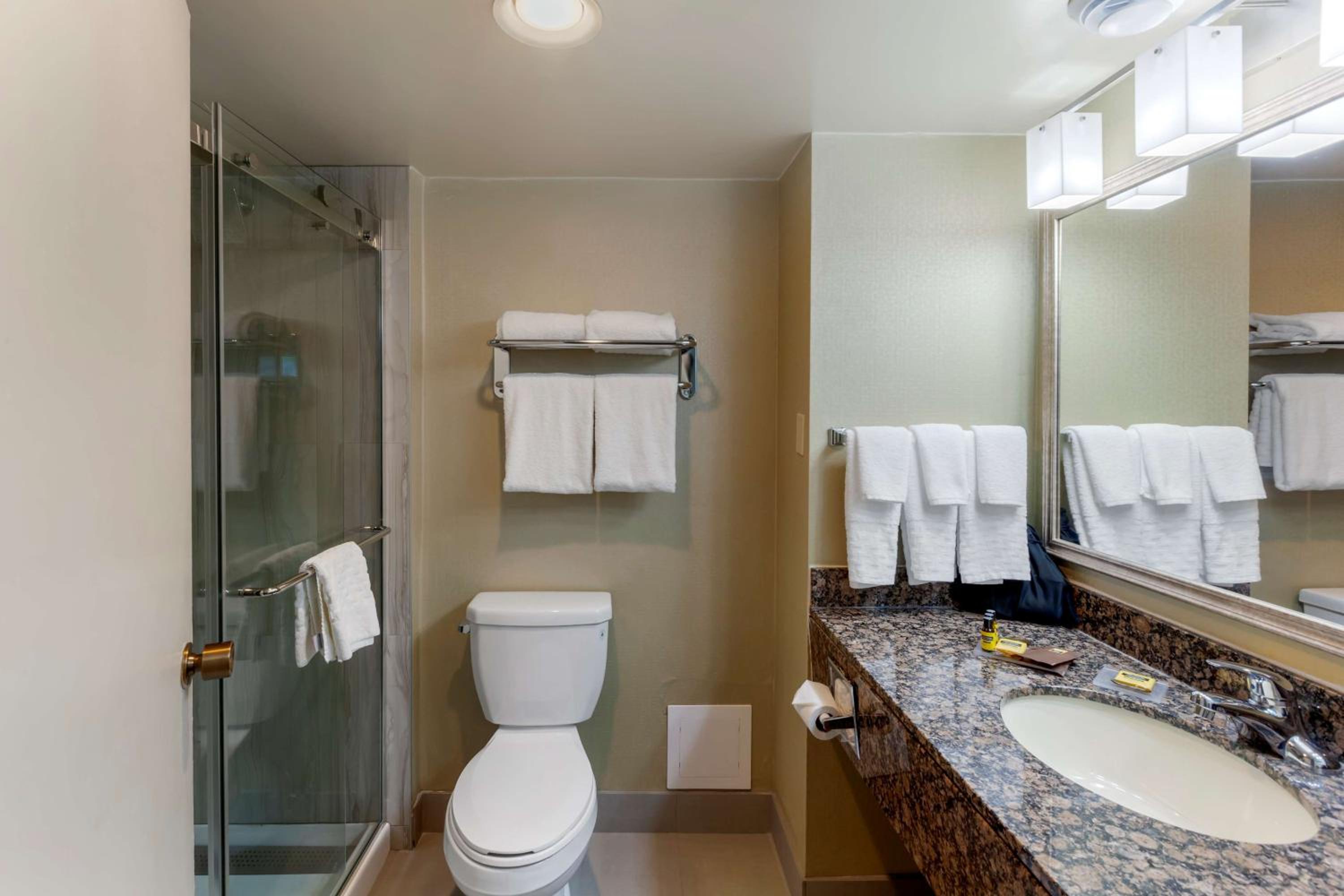 King Room with Walk-In Shower - Mobility Accessible