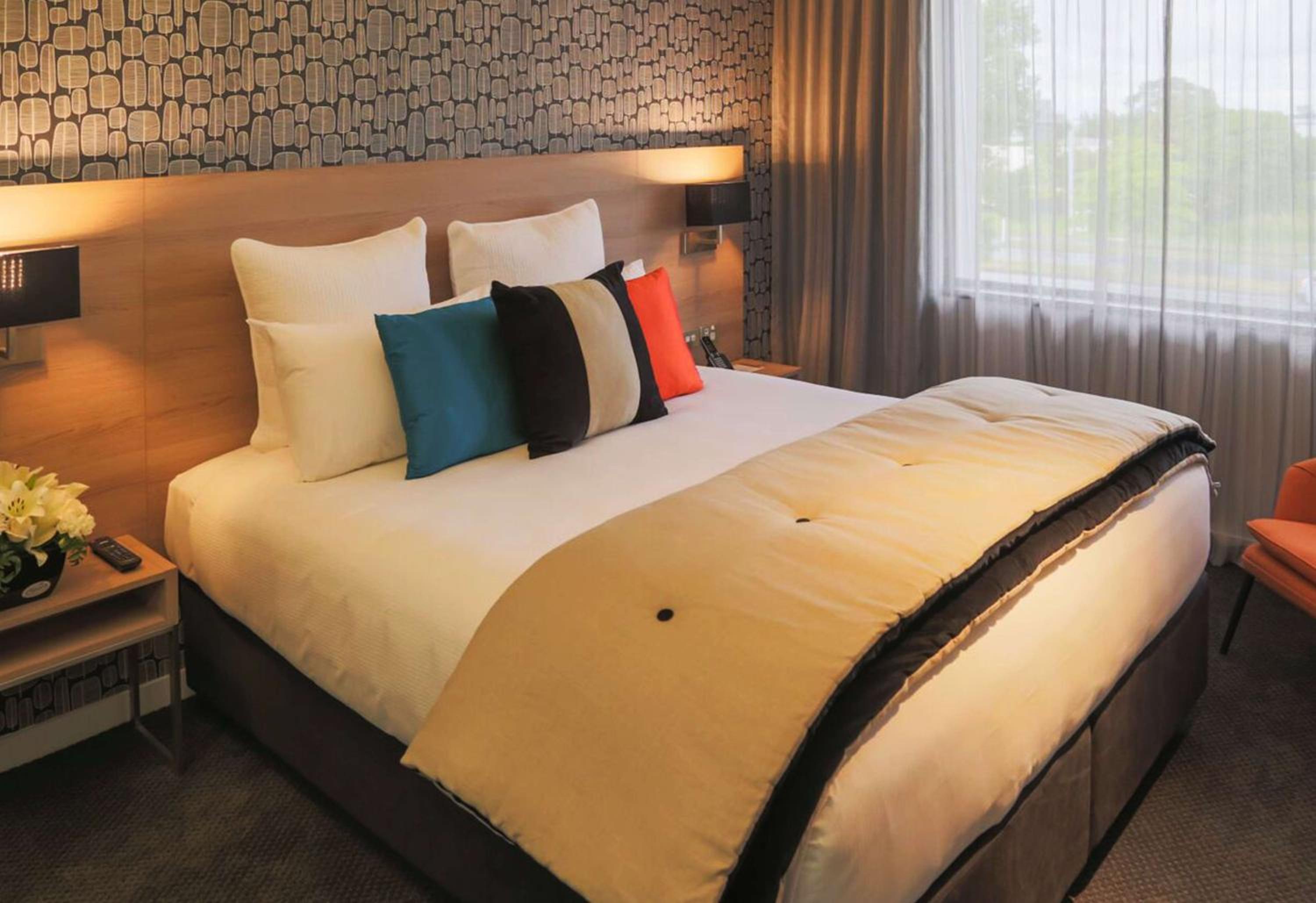 Premium Suite - Photo 4
