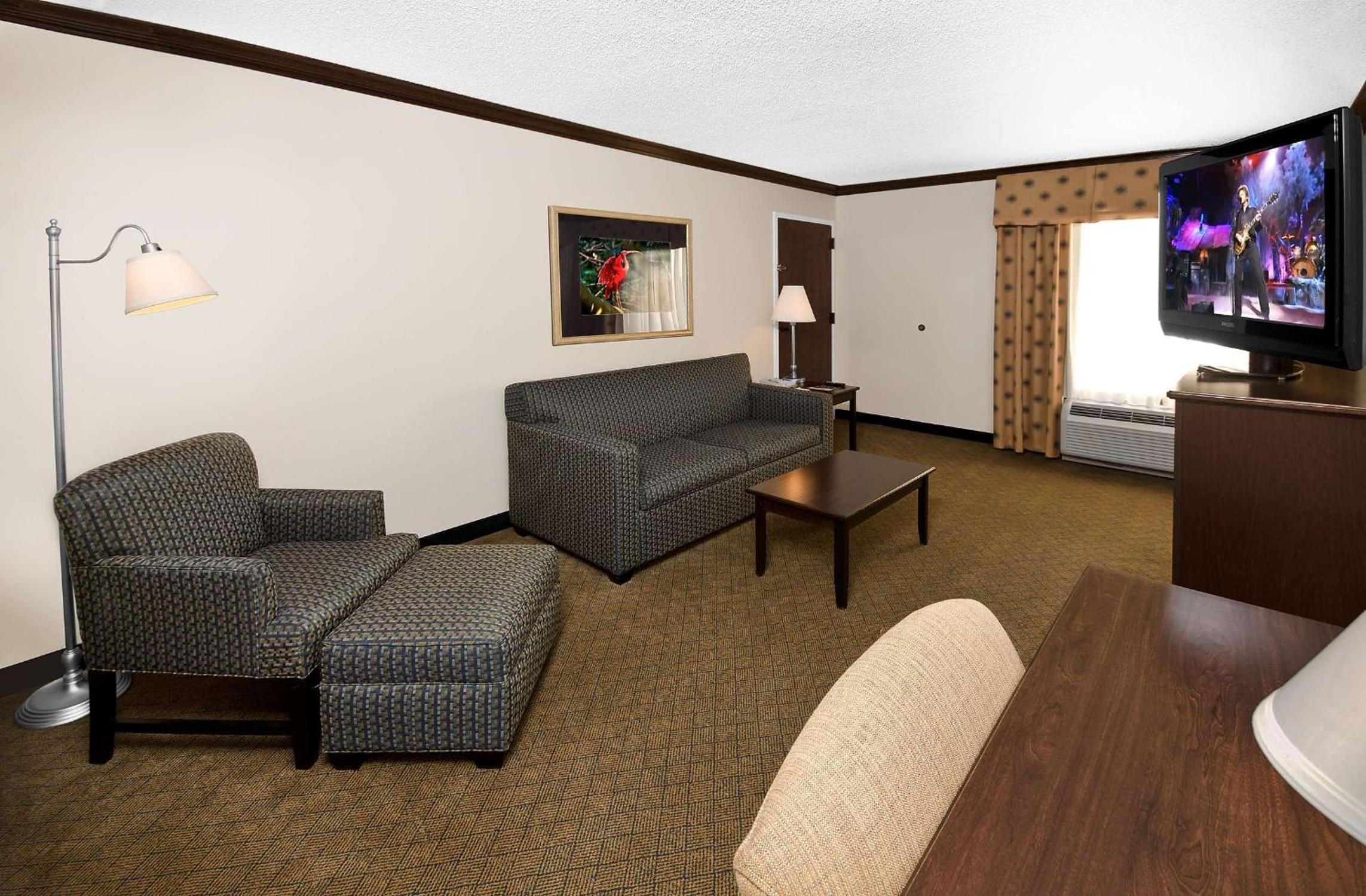 One-Bedroom King Suite with Sofa Bed - Non-Smoking - Photo 1