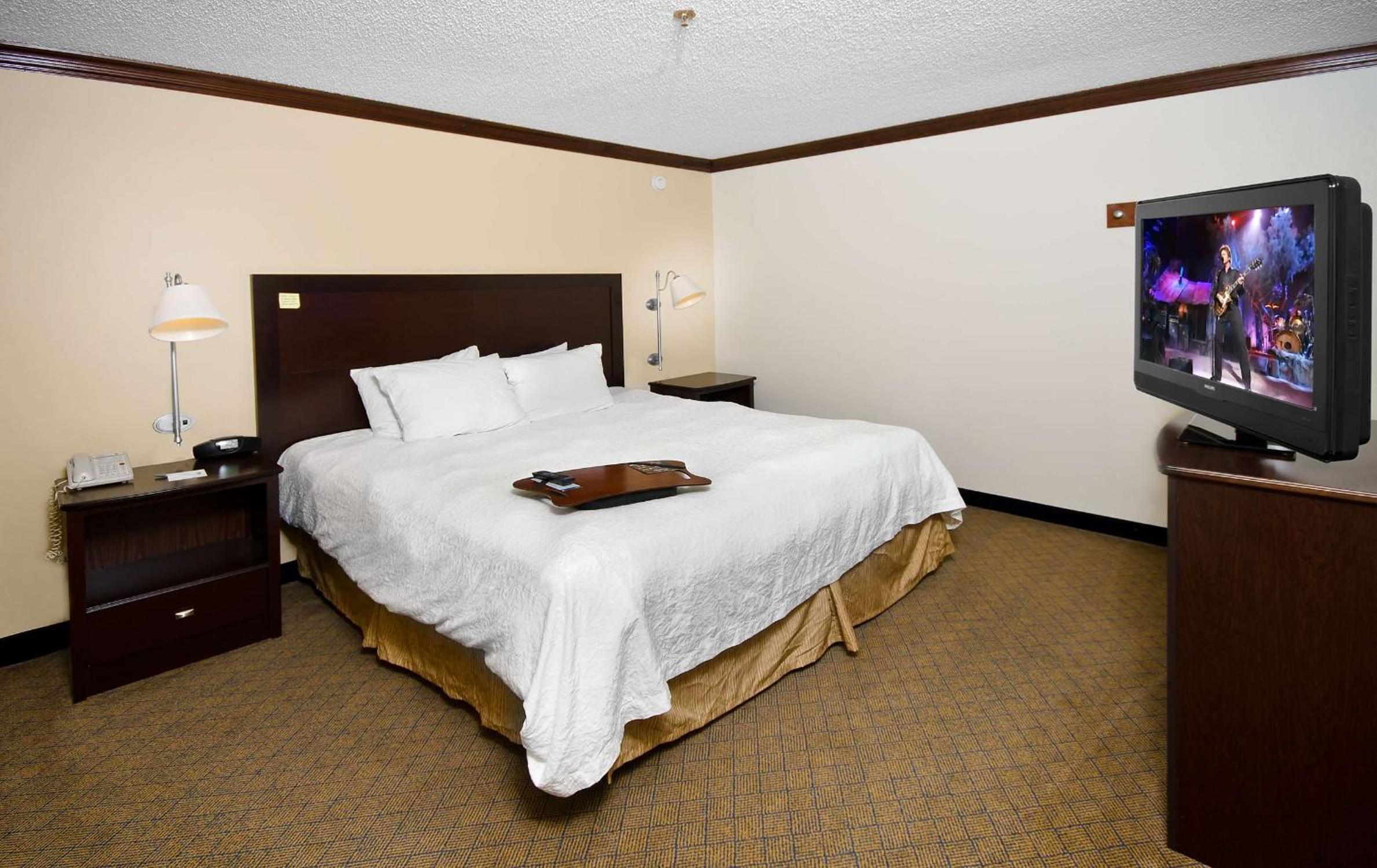 One-Bedroom King Suite with Sofa Bed - Non-Smoking - Photo 2