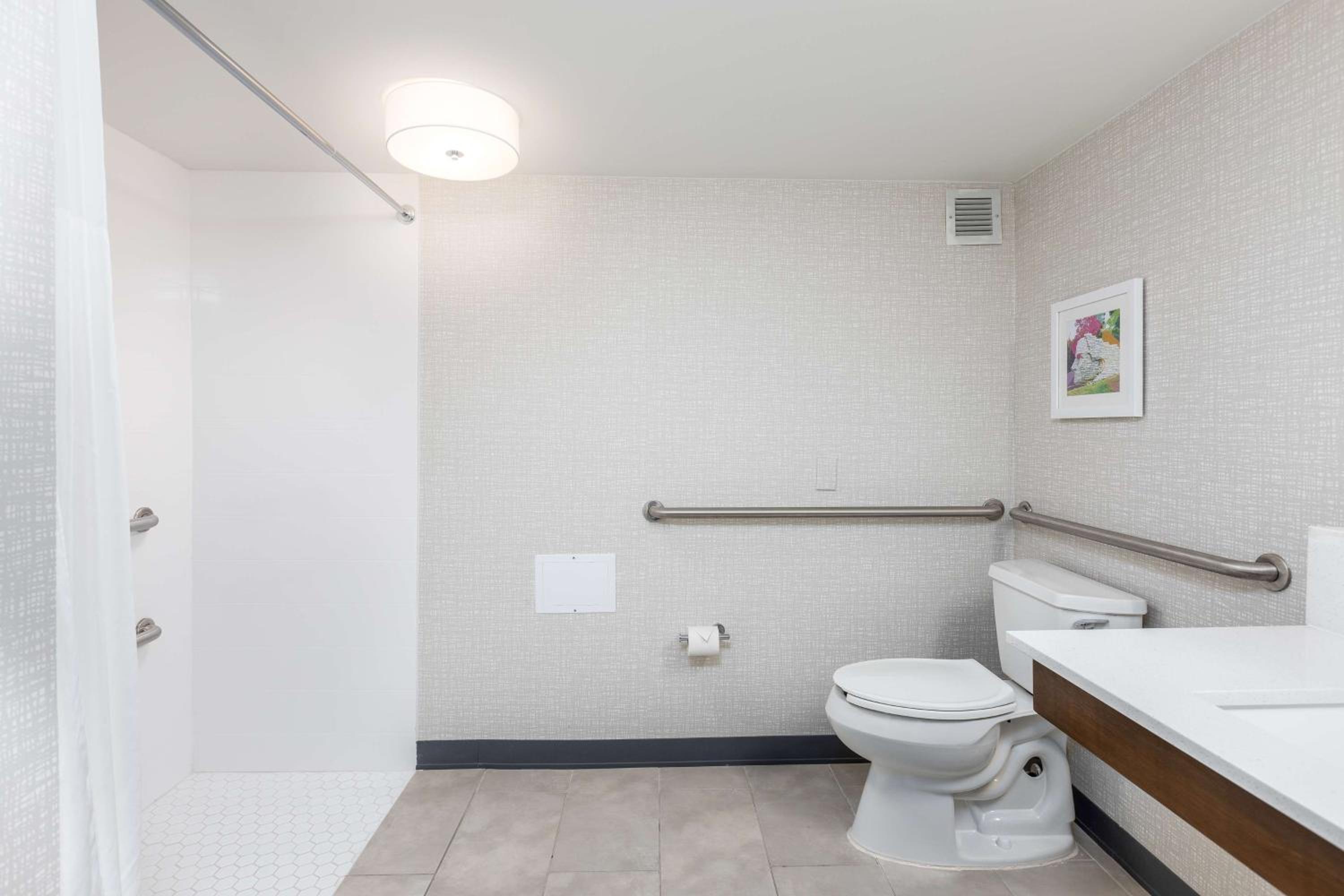 King Room with Roll-in Shower - Disability Accessible/Non-Smoking - Photo 4