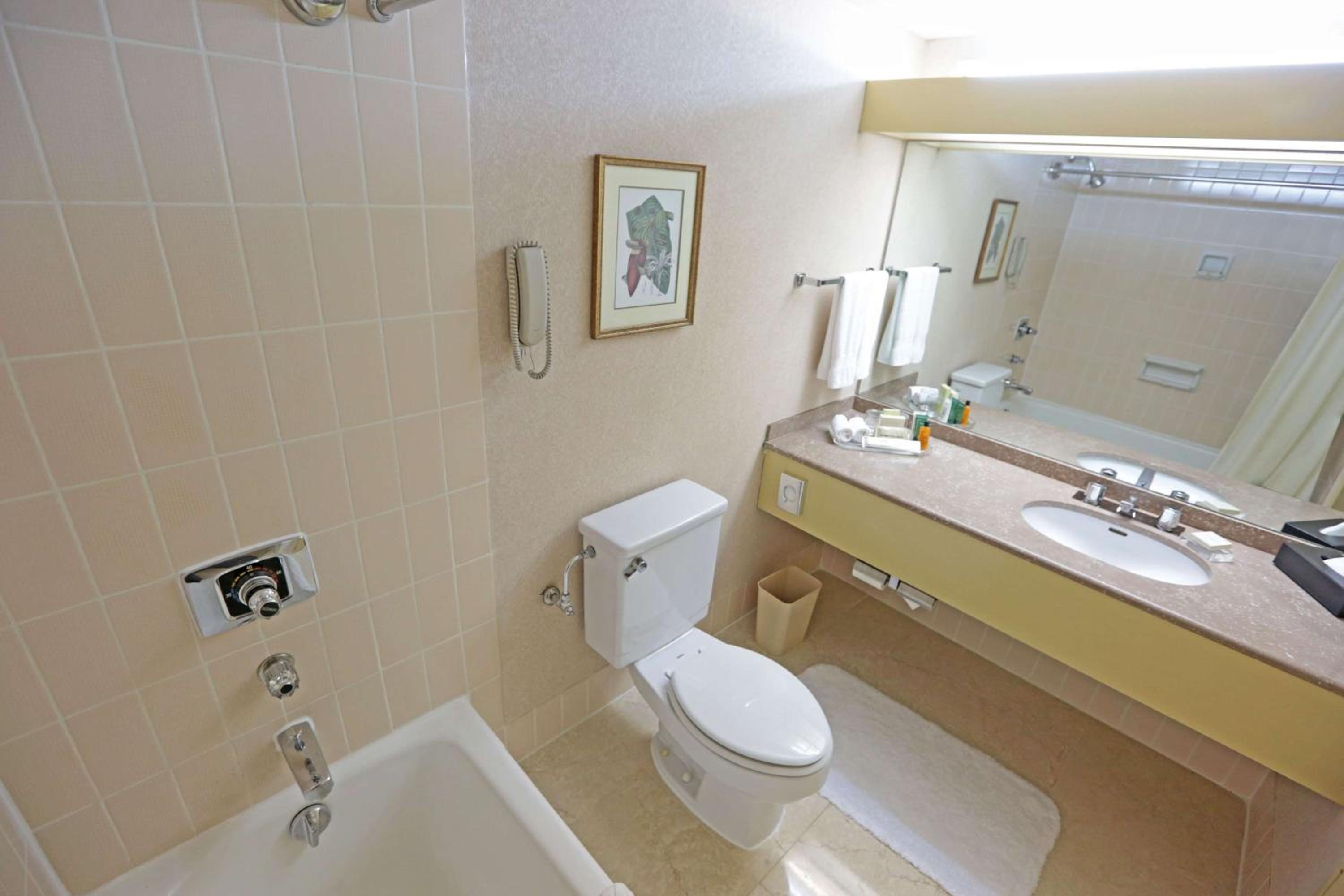 Corner King Suite photo 2
