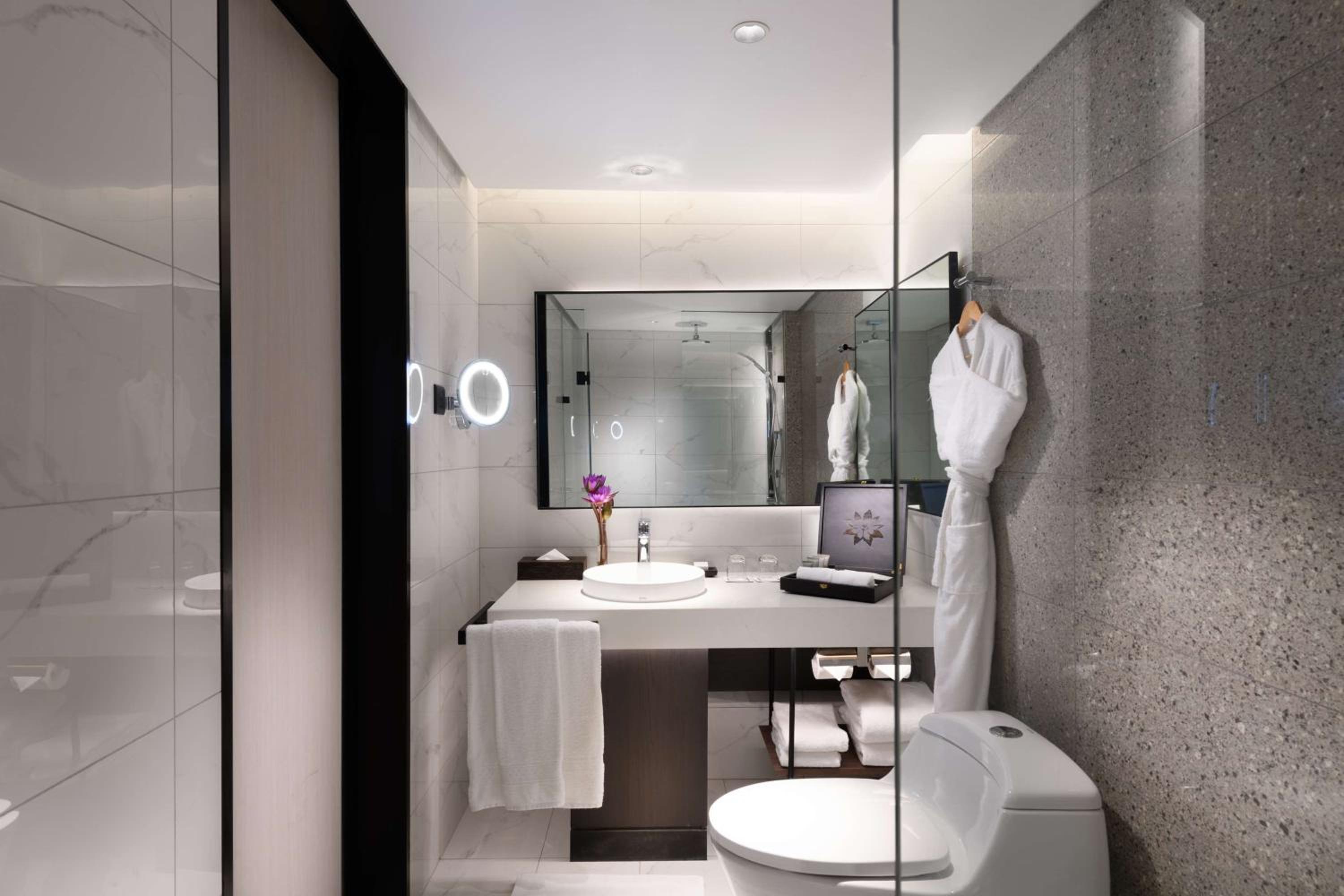 Deluxe King Suite - Photo 4