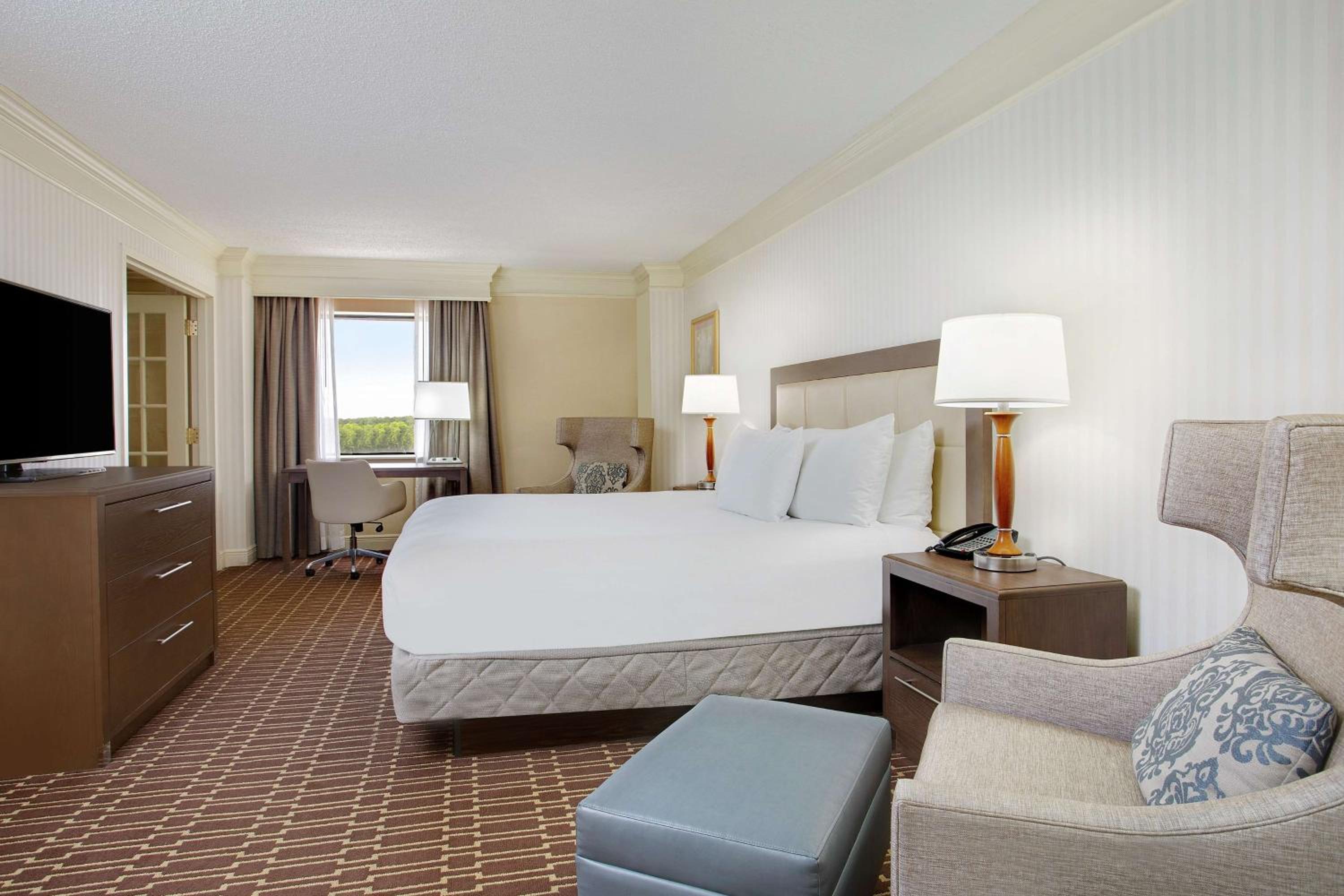 One-Bedroom King Suite - Photo 4