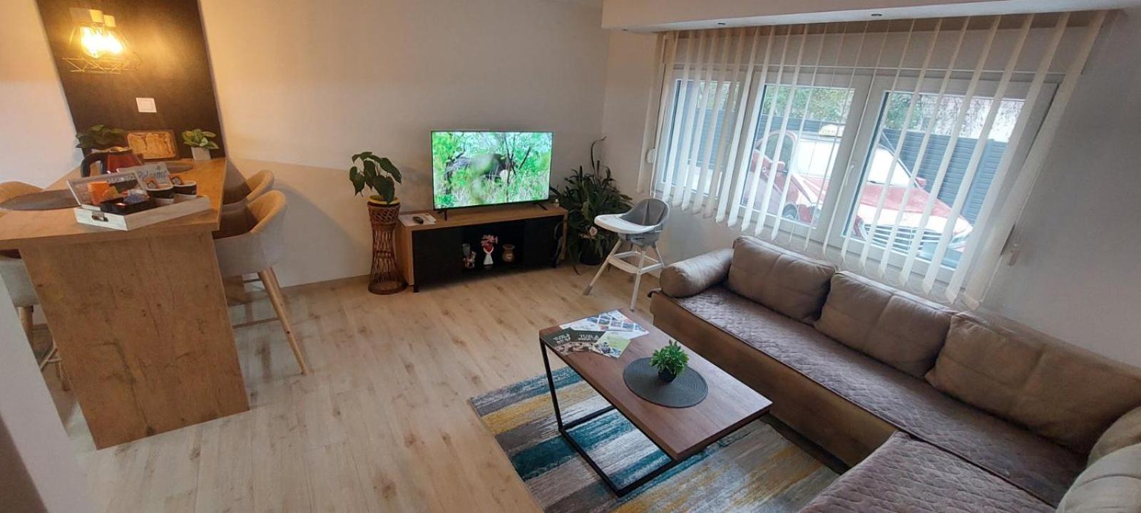 One-Bedroom Apartment with Terrace photo 1