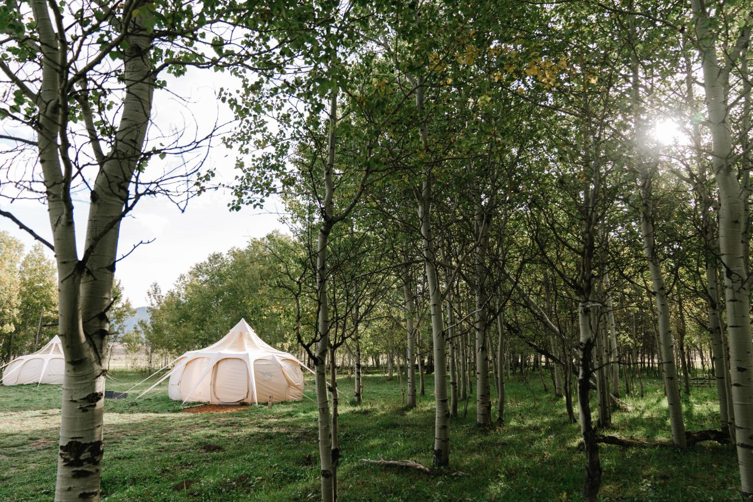 Yellowstone Family Tent - Photo 2