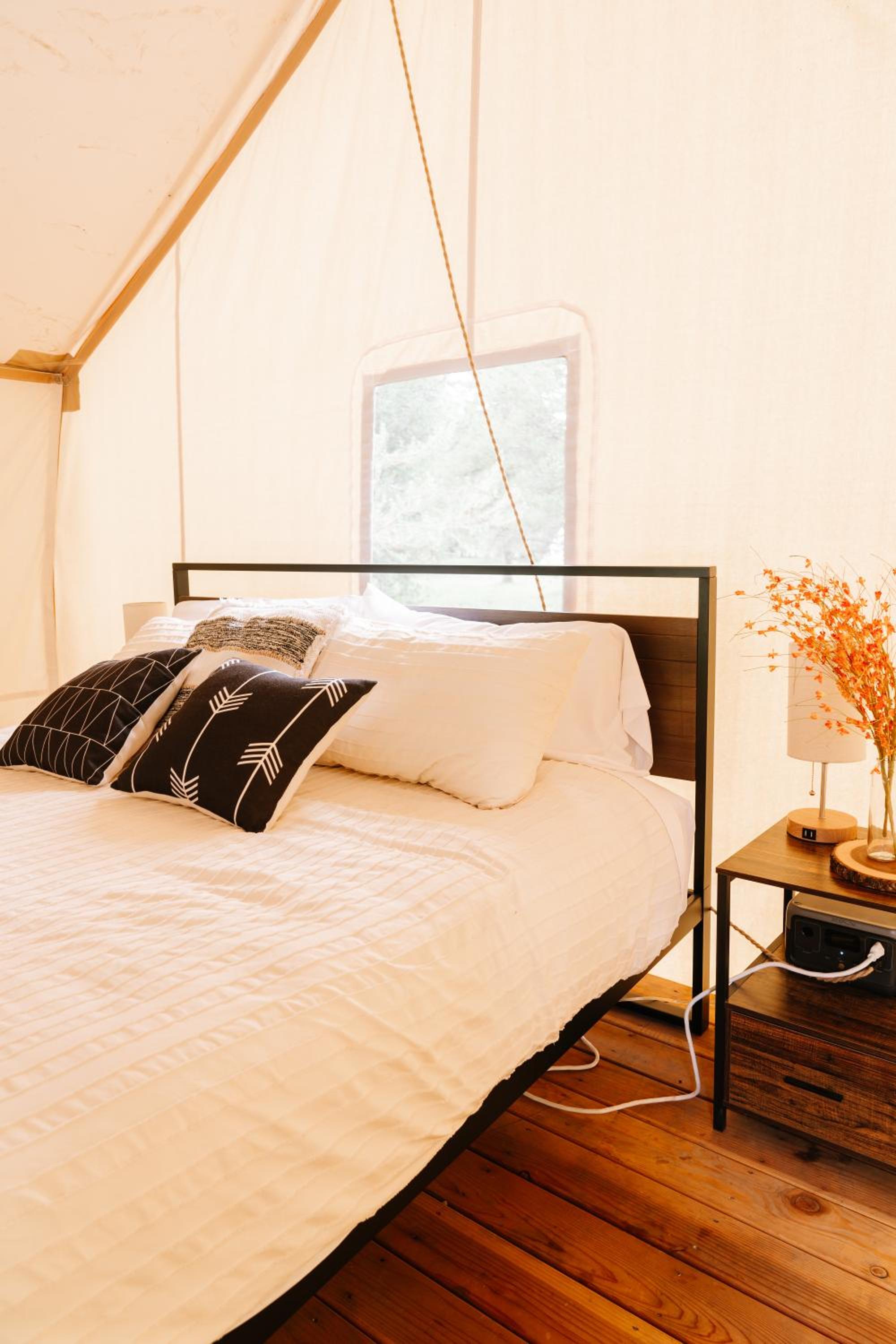 Yellowstone Luxury Safari Tent - Photo 4