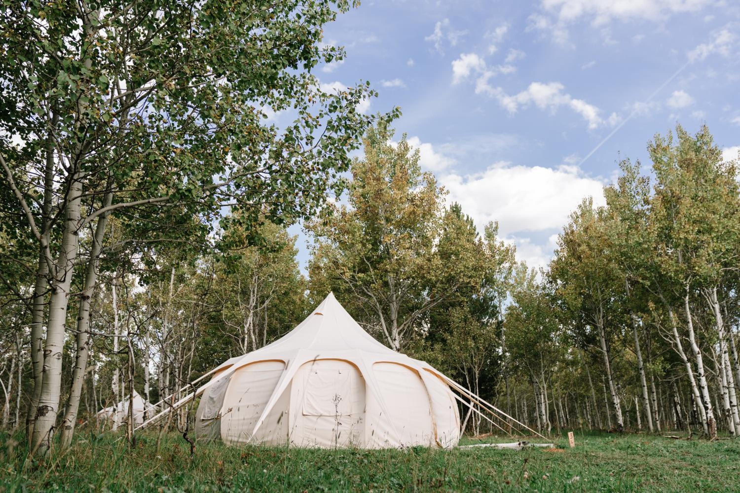 Yellowstone Luxury Couples Tent - Photo 3