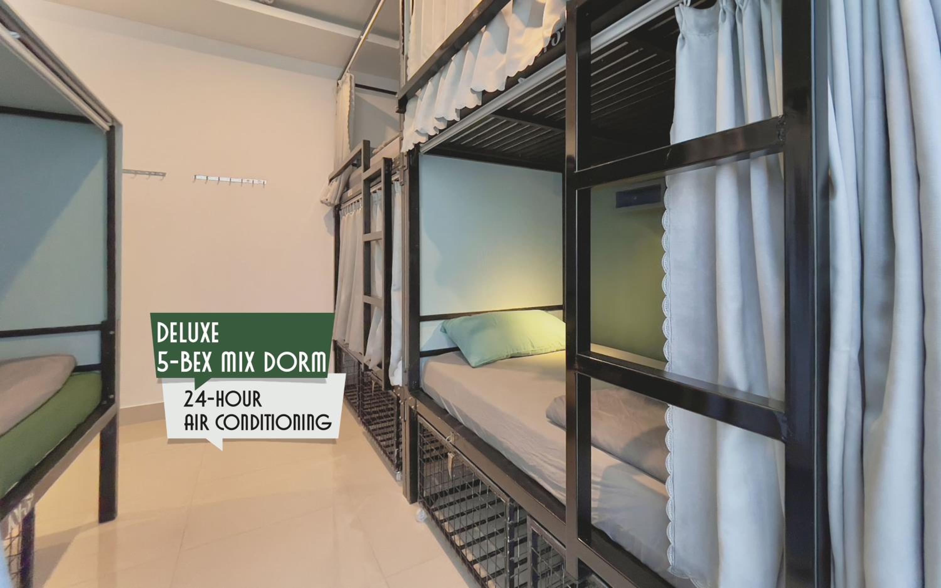 Bunk Bed in Mixed Dormitory Room
