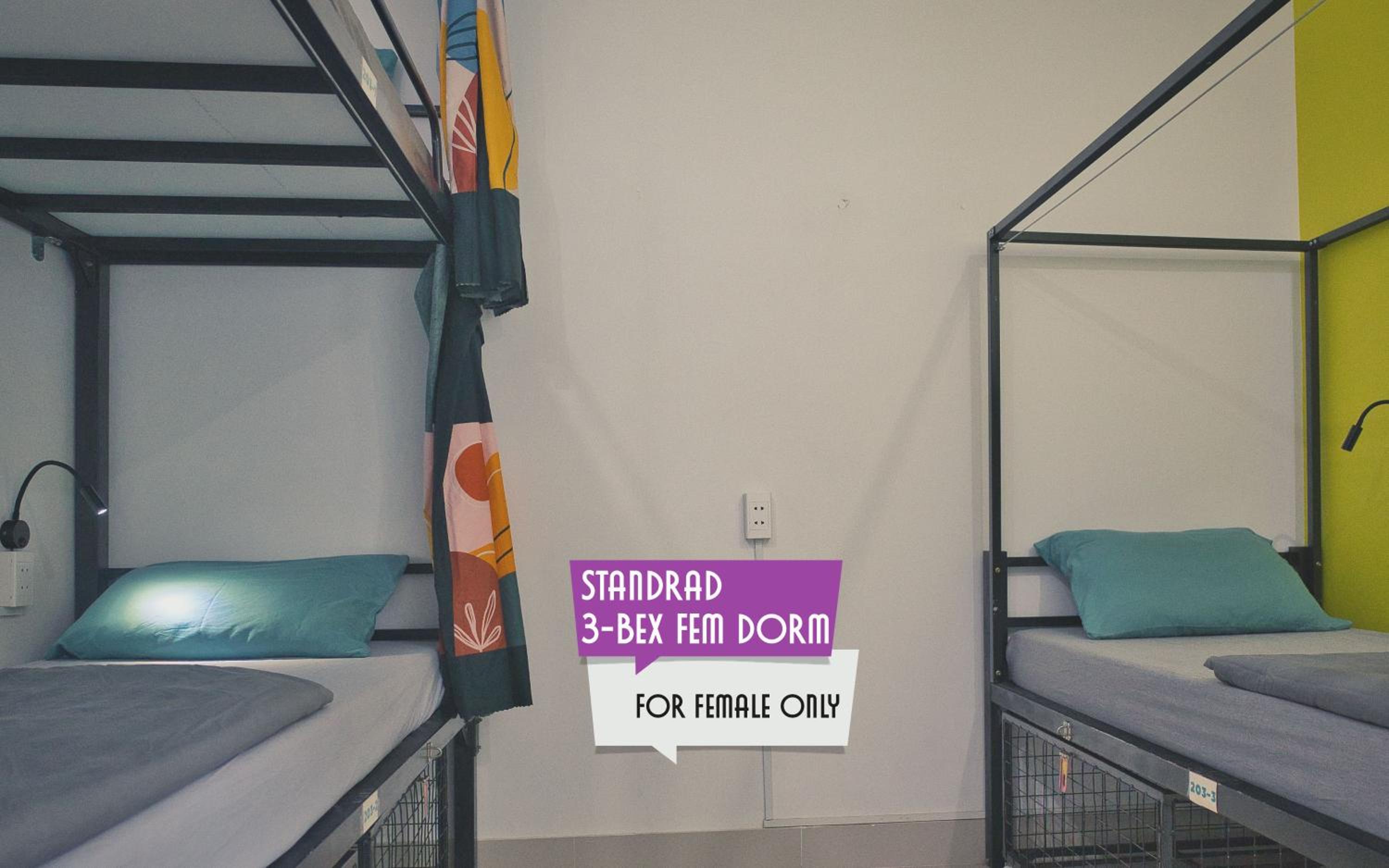 Single Bed in Female Dormitory Room