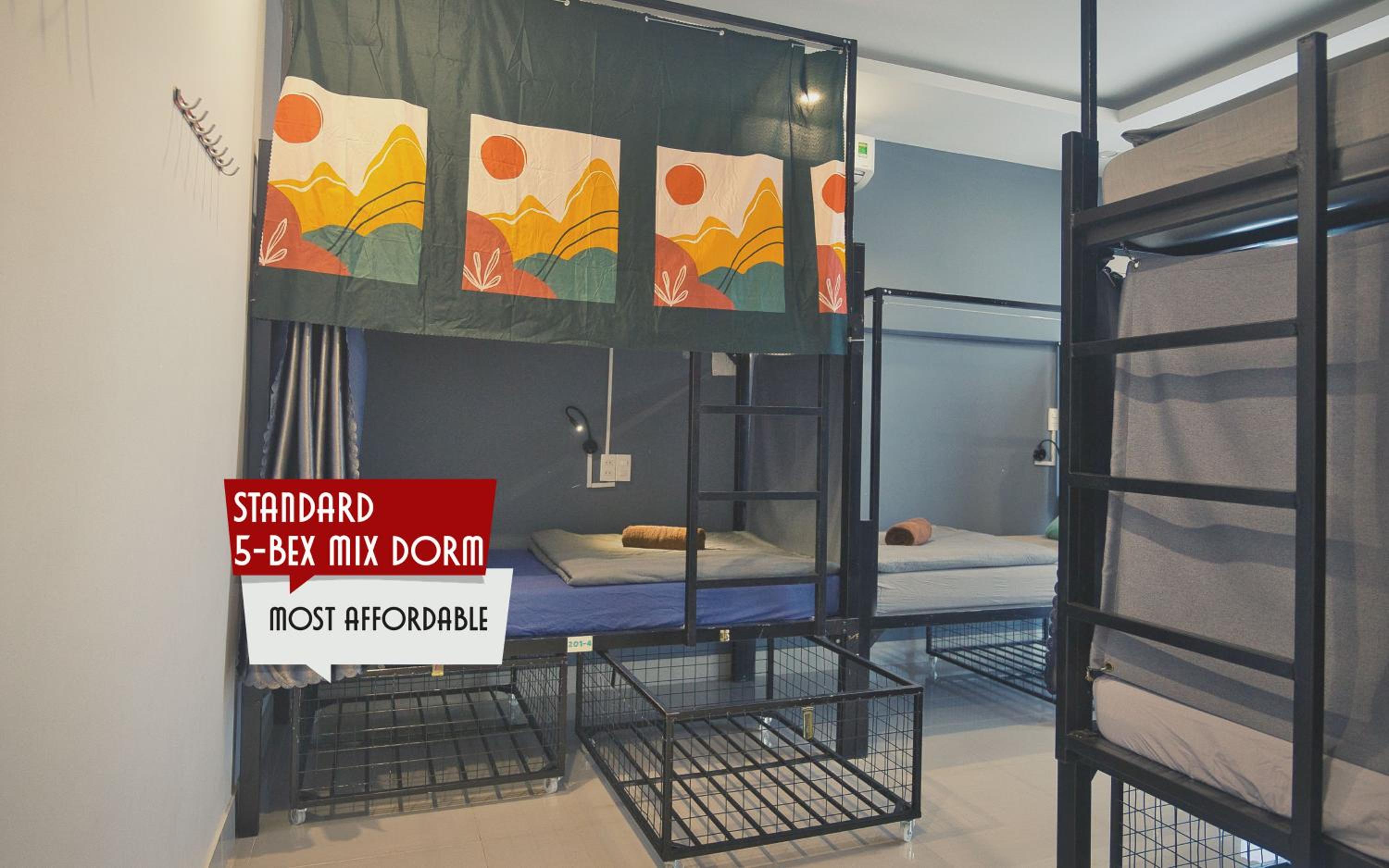 Bunk Bed in Mixed Dormitory Room
