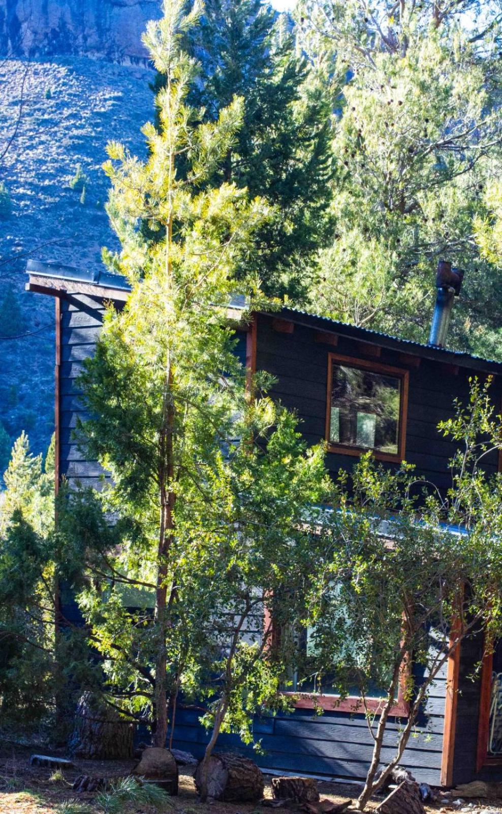 Vacation Home photo 2