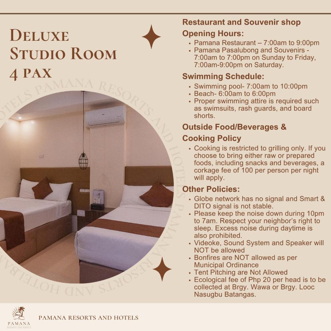 Deluxe Studio - Photo 4