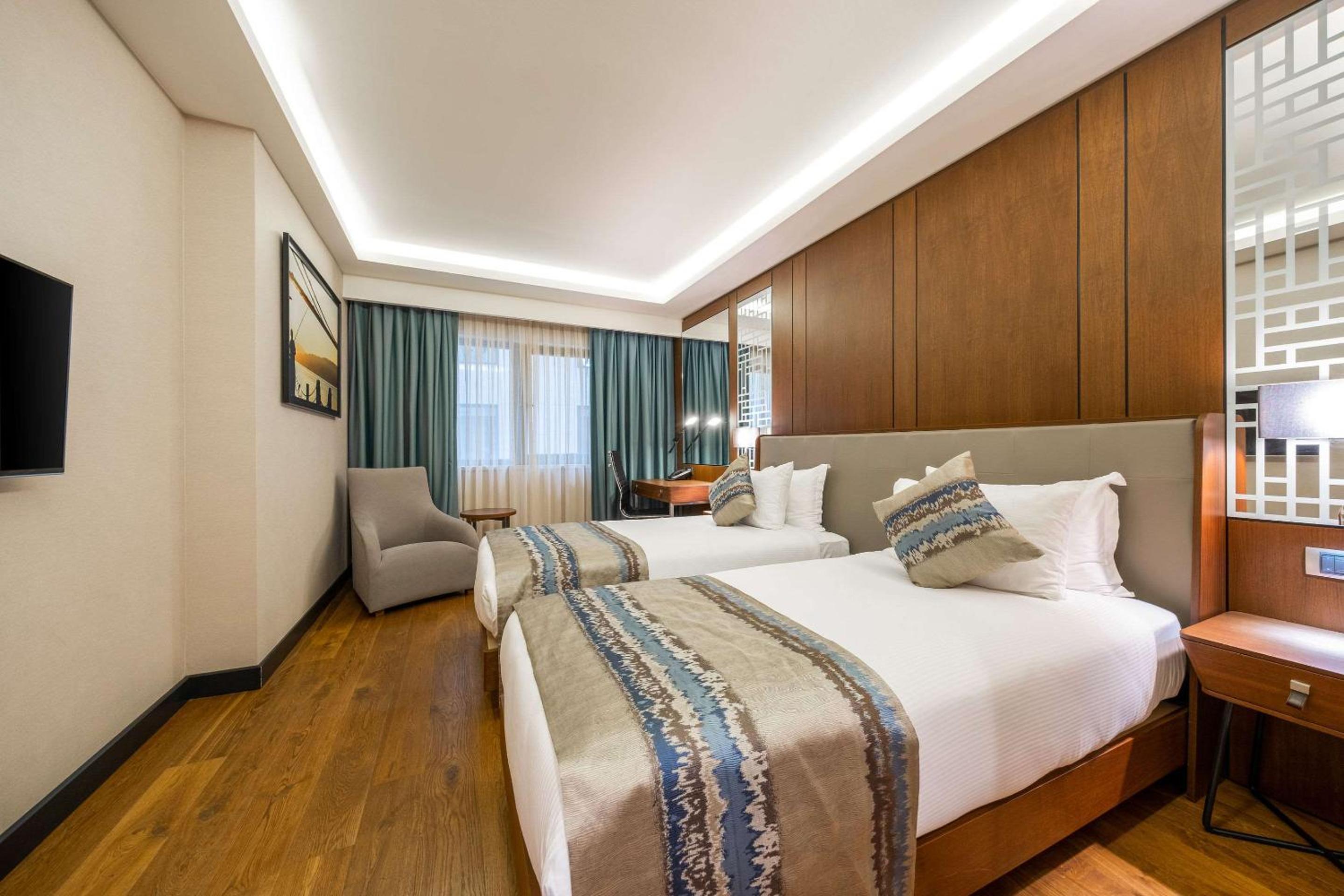 Superior Double or Twin Room with City View photo 3