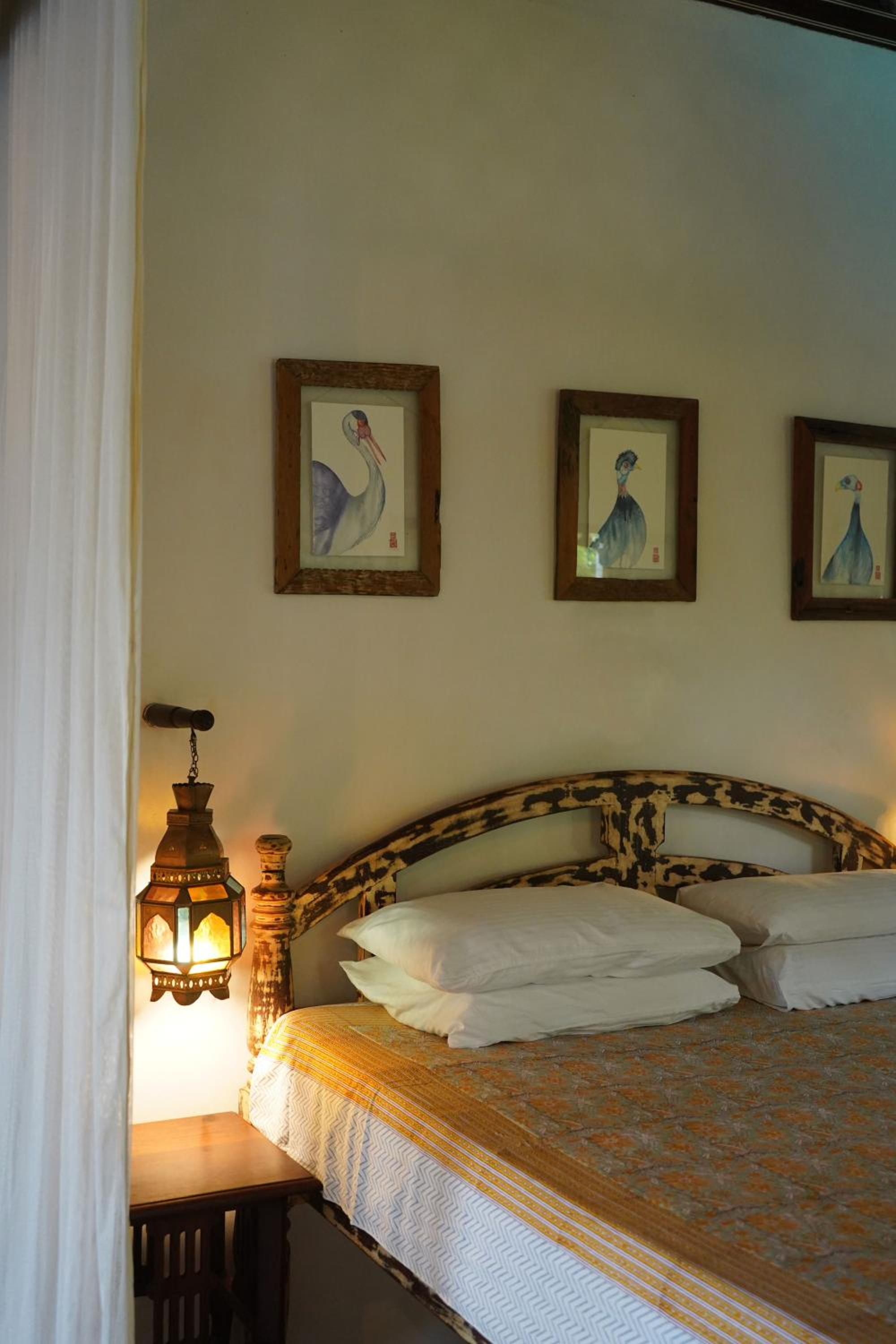 Superior Suite photo 1