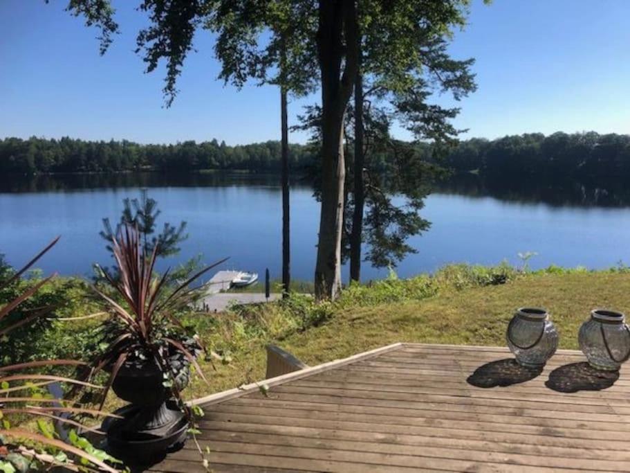 Vacation Home photo 3