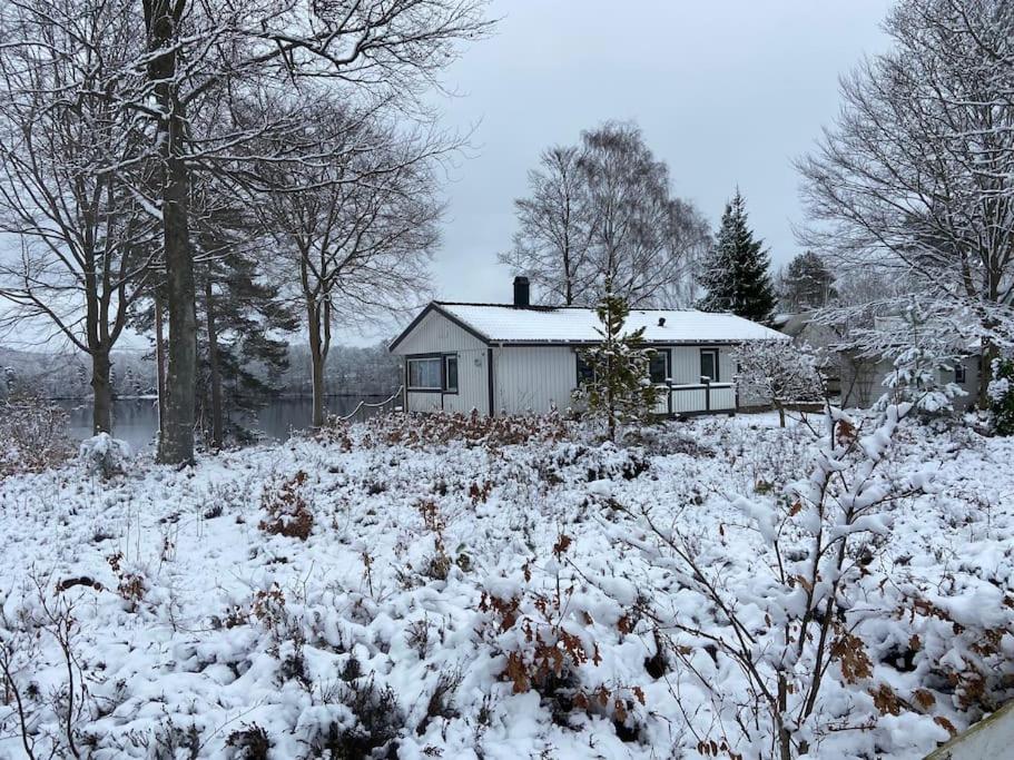 Vacation Home photo 2