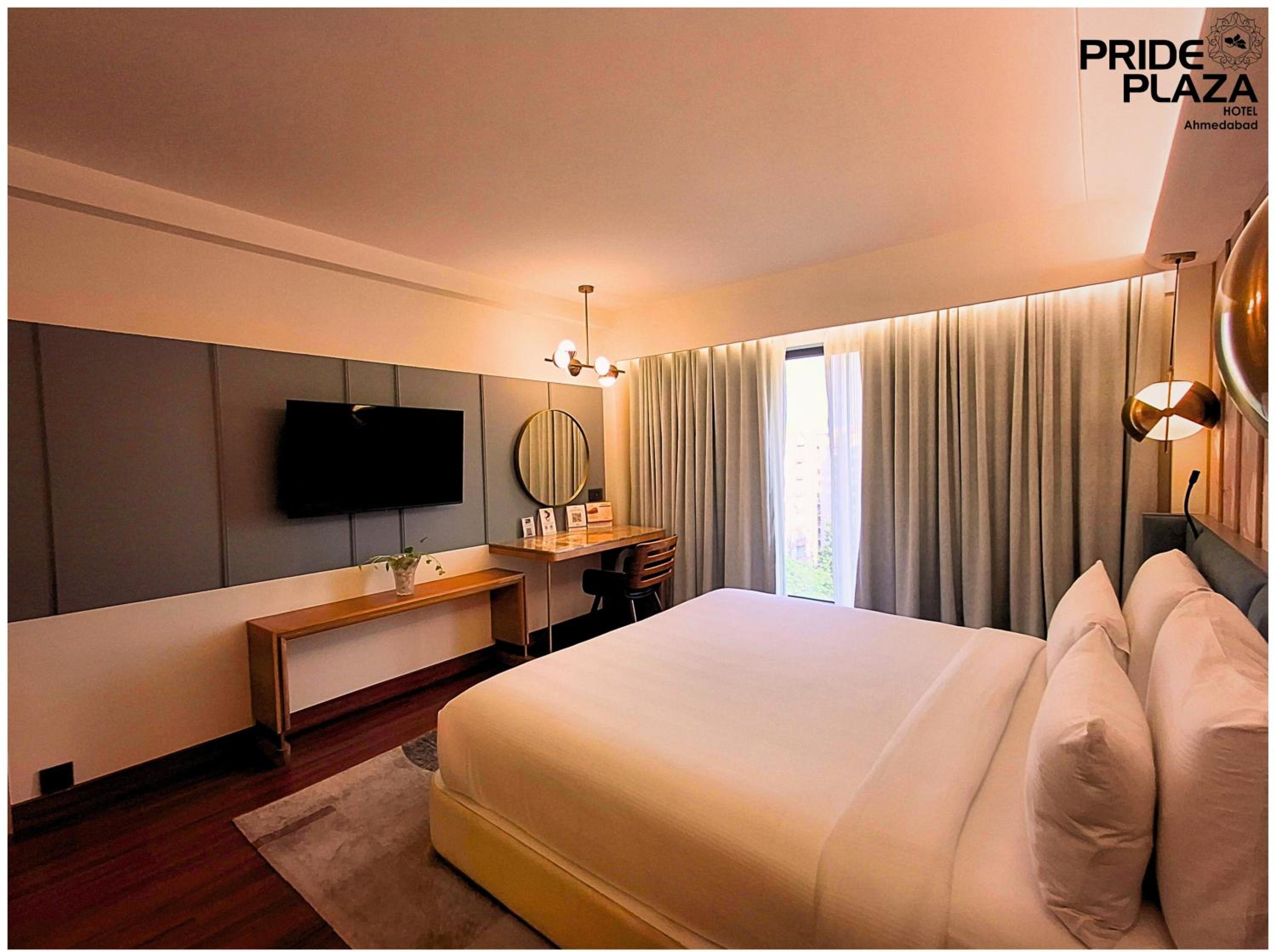 Suite - Photo 1