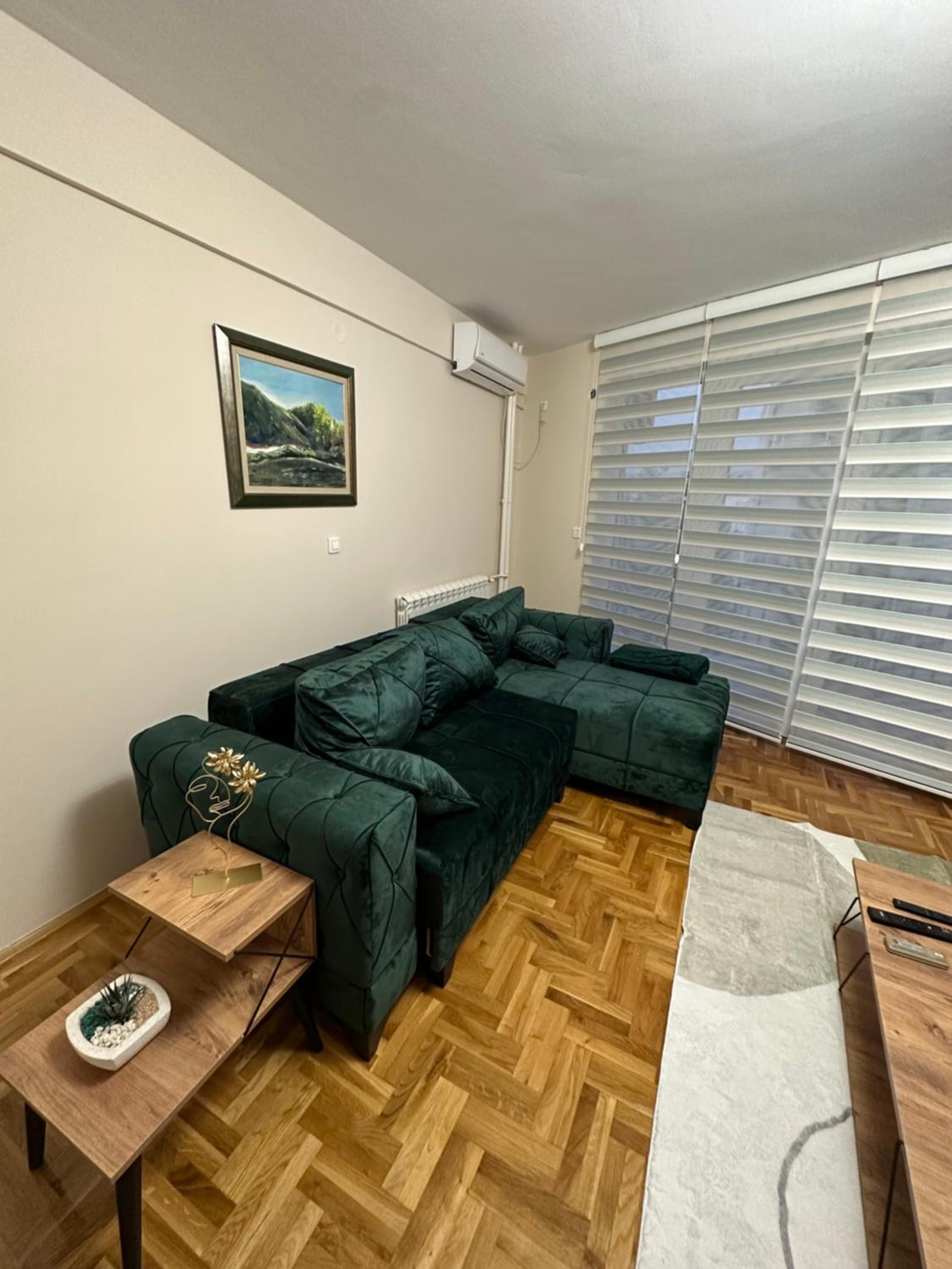 One-Bedroom Apartment photo 3