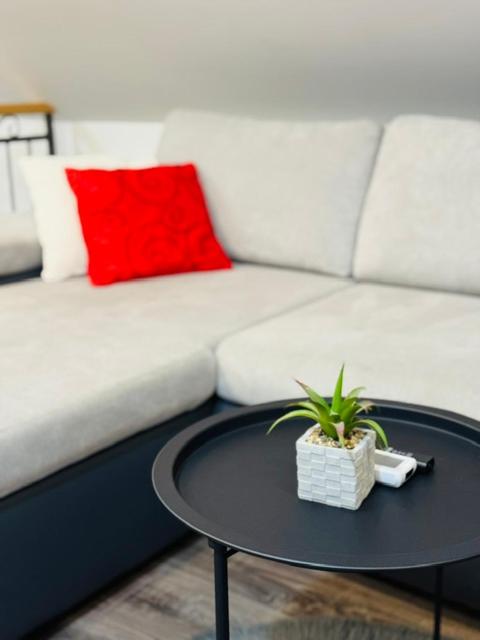 Studio Apartment with Balcony - Photo 15